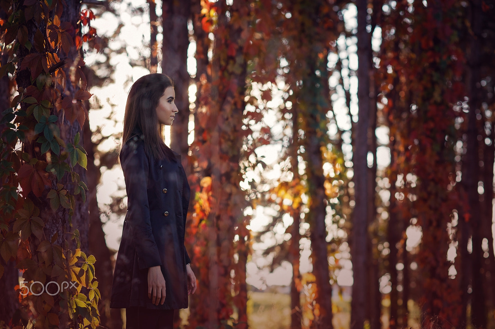 Canon EF 100mm F2.0 USM sample photo. Autumn walk photography