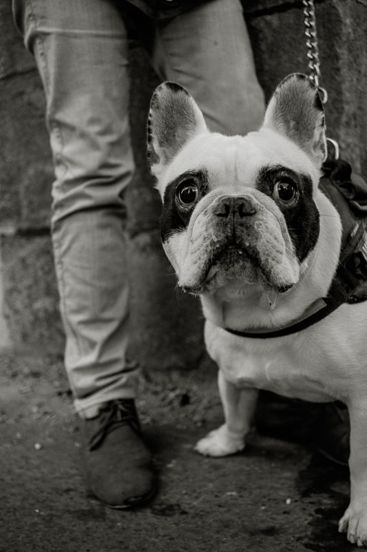 Fujifilm X-T1 + Fujifilm XF 27mm F2.8 sample photo. Dick photography