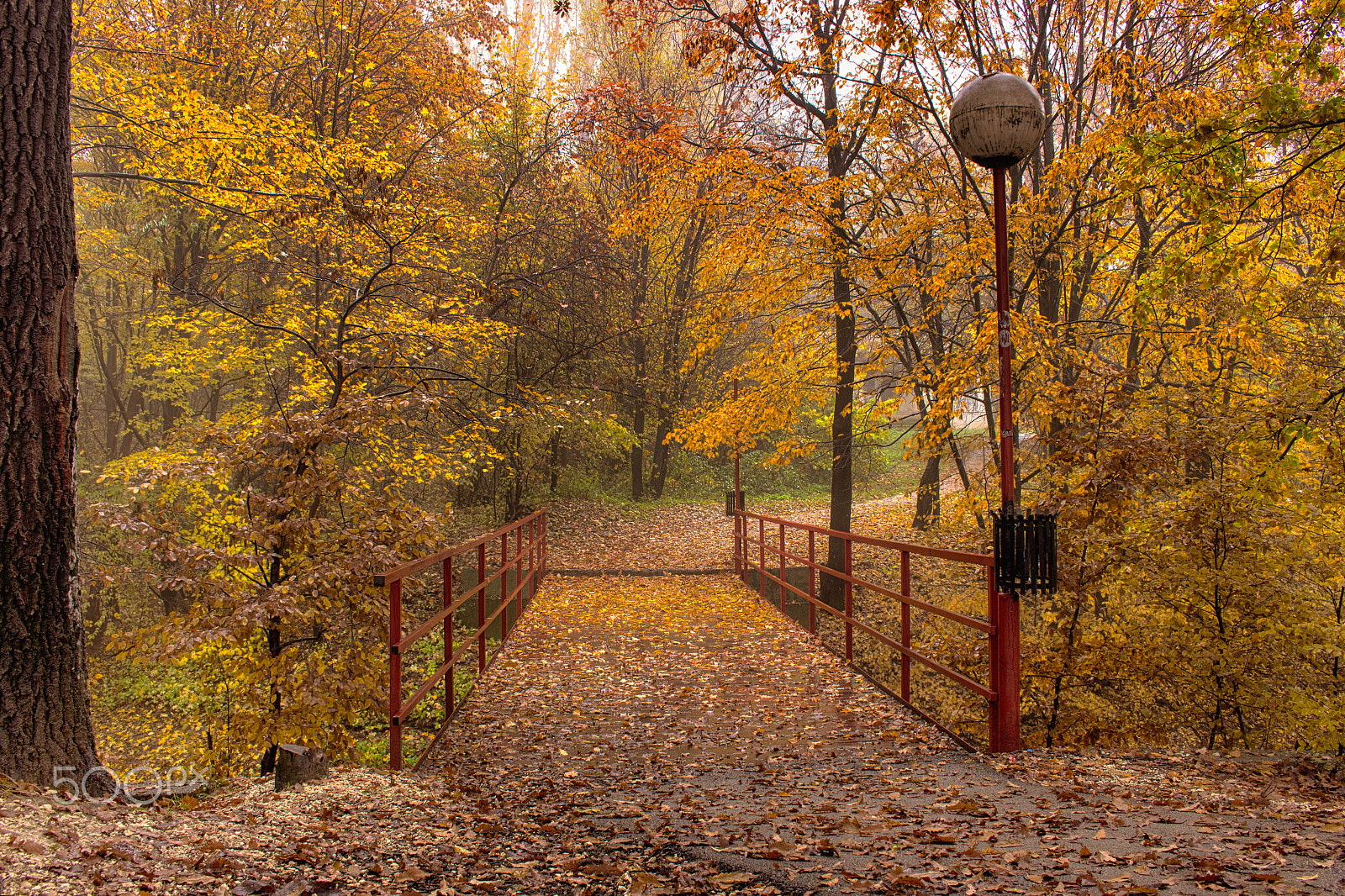 Canon EOS 600D (Rebel EOS T3i / EOS Kiss X5) sample photo. Autumn bridge photography