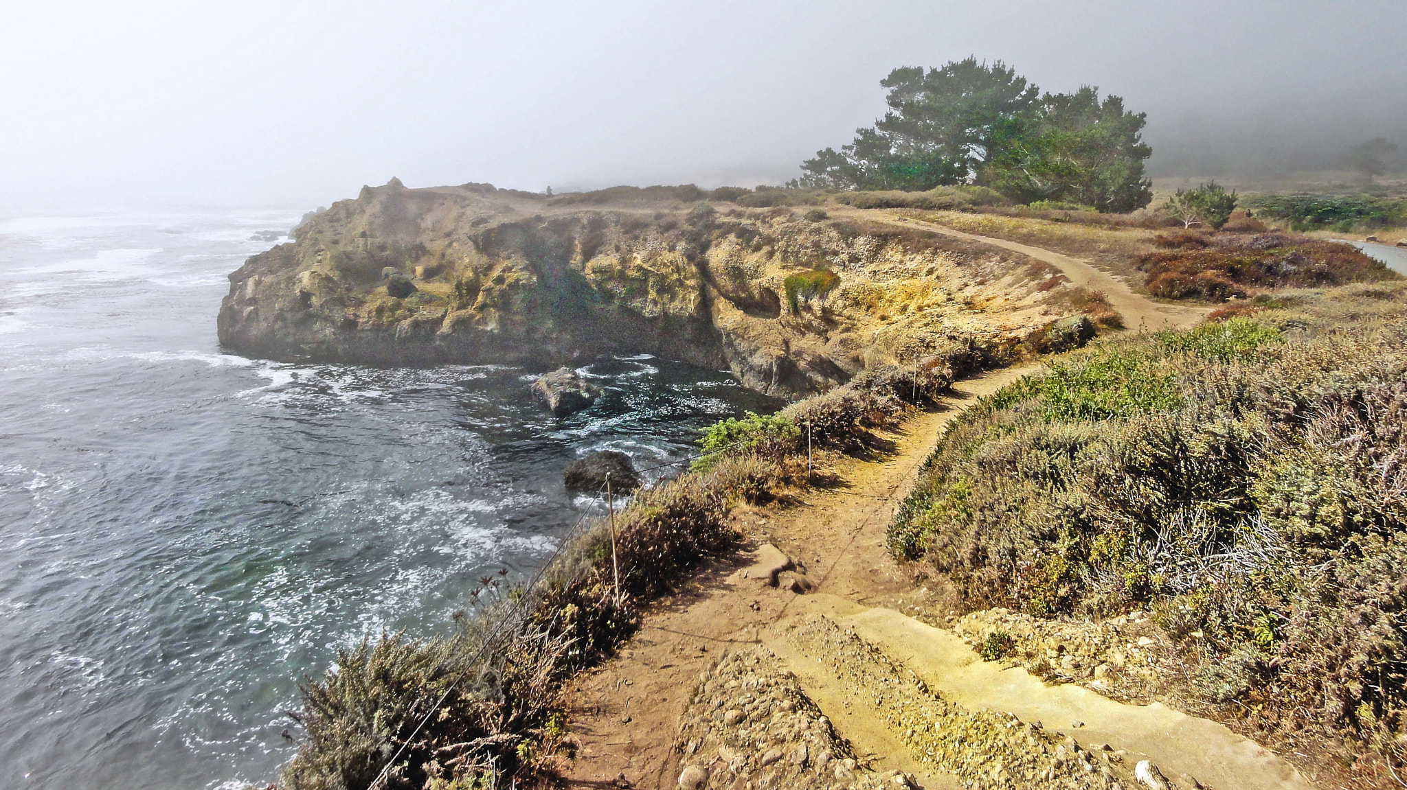 Sony DSC-HX5V sample photo. Point lobos state natural reserve / carmel california photography