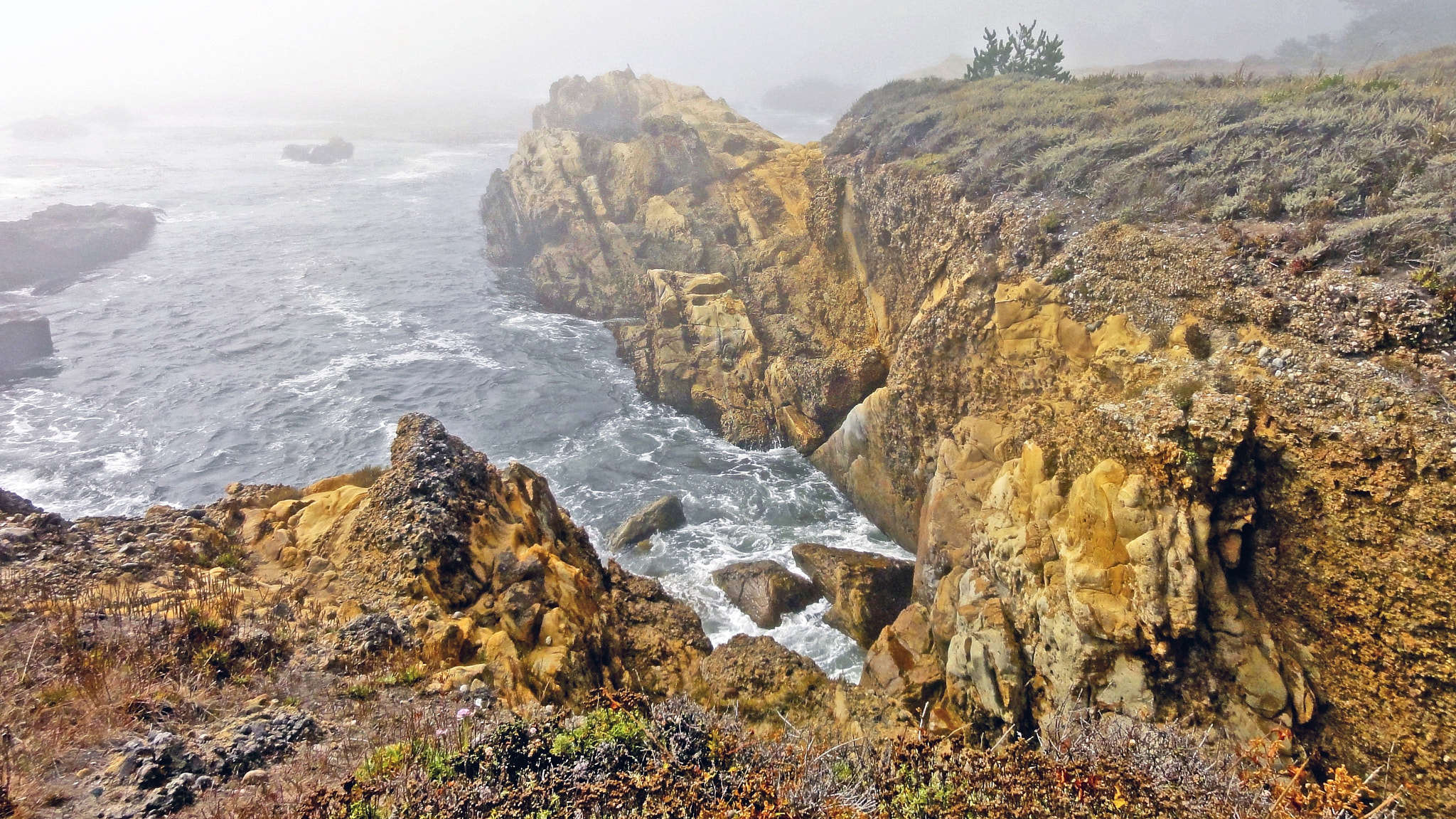 Sony DSC-HX5V sample photo. Point lobos state natural reserve / carmel california photography