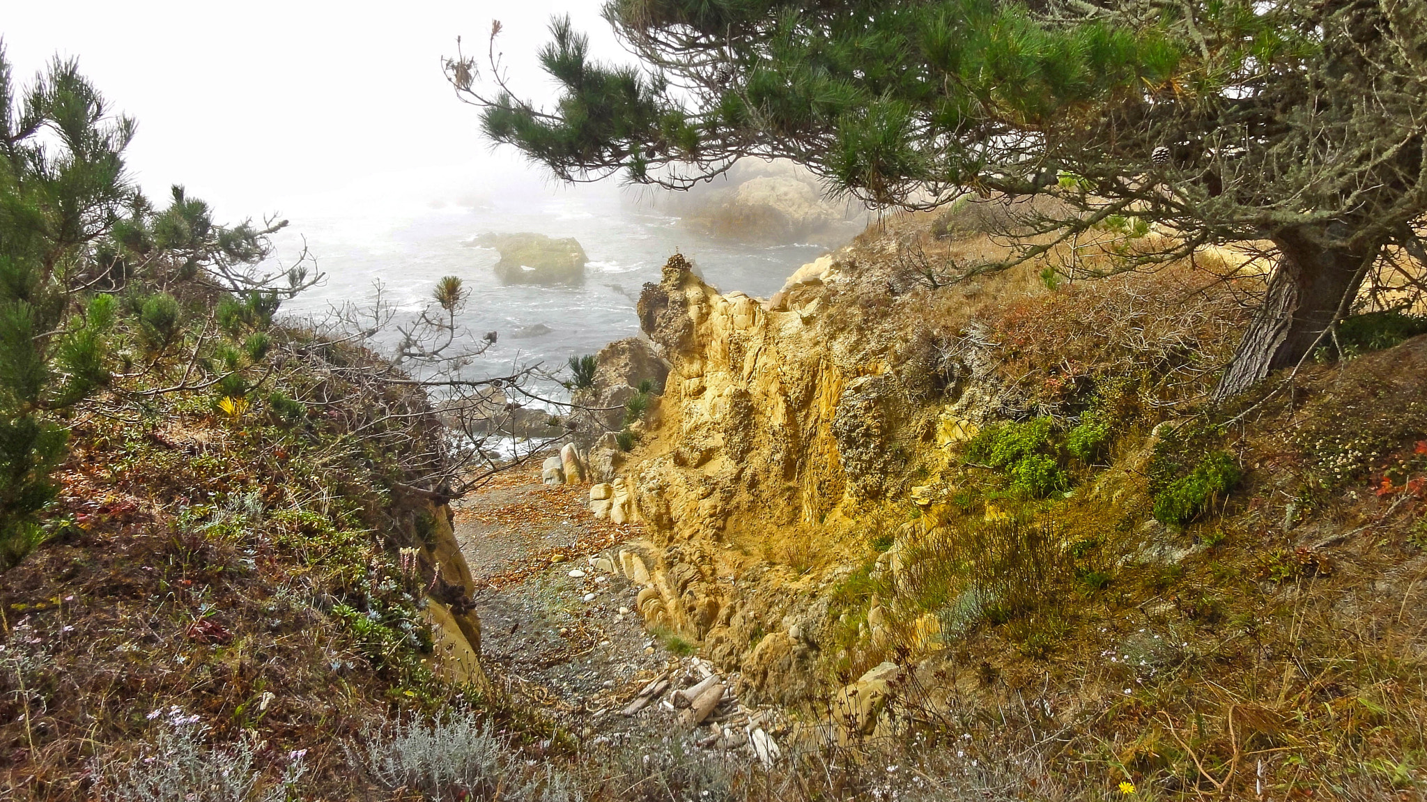 Sony DSC-HX5V sample photo. Point lobos state natural reserve / carmel california photography