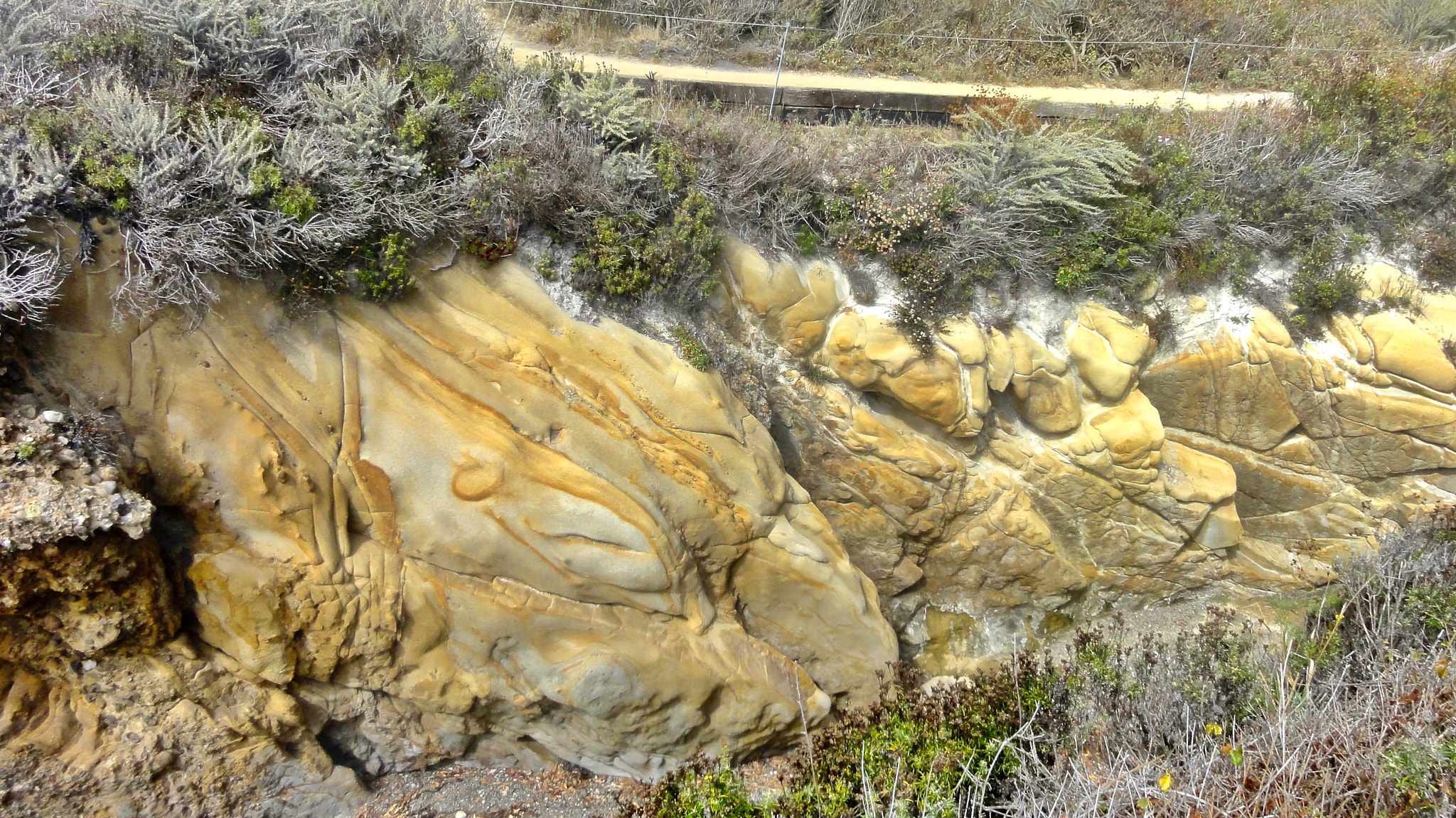 Sony DSC-HX5V sample photo. Point lobos state natural reserve / carmel california photography