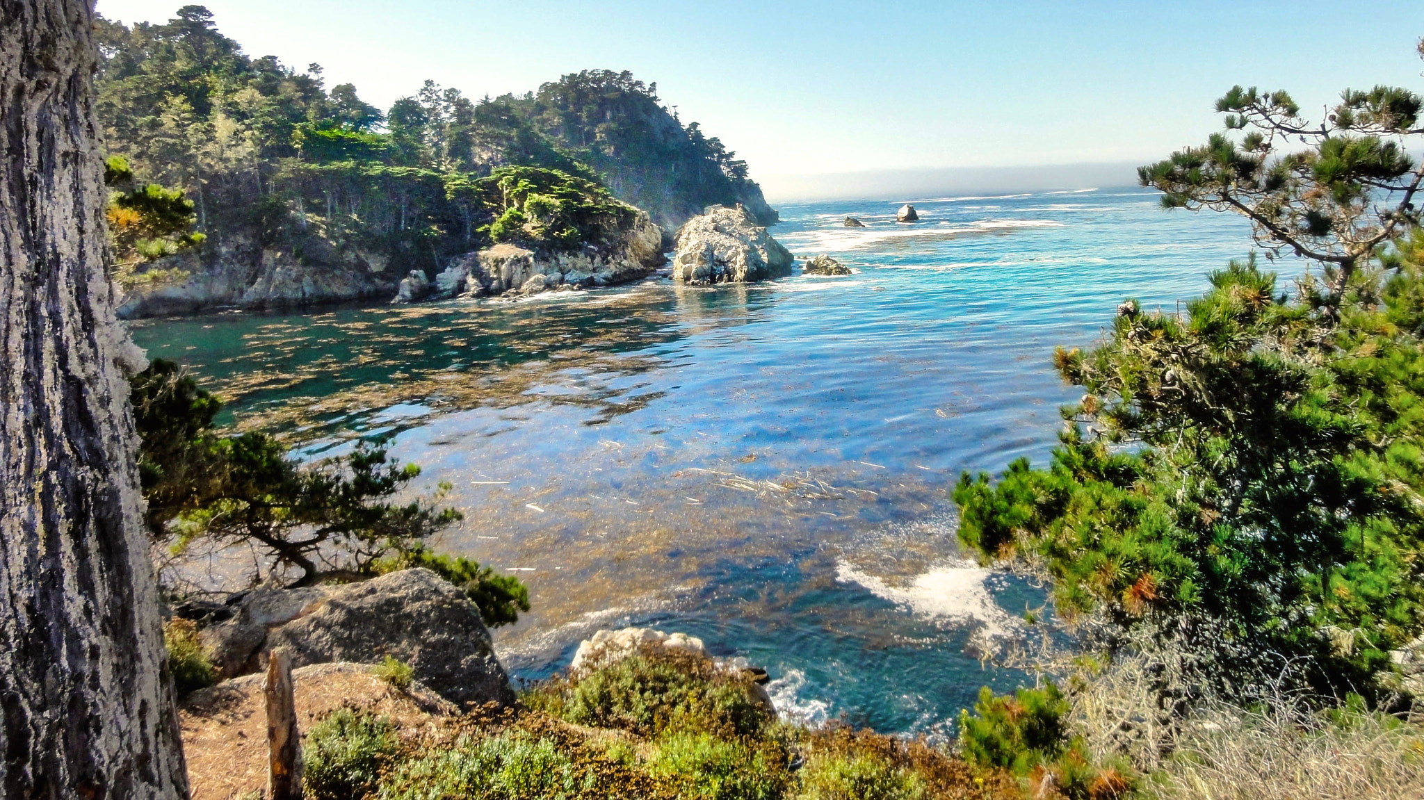 Sony DSC-HX5V sample photo. Point lobos state natural reserve bluefish cove photography