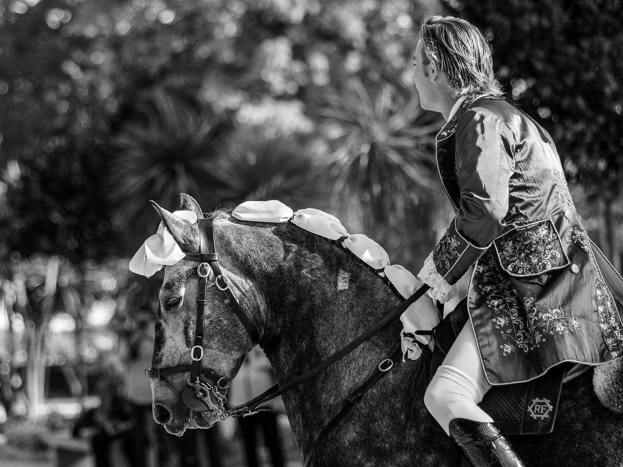 AF Nikkor 85mm f/1.8 sample photo. The horse photography