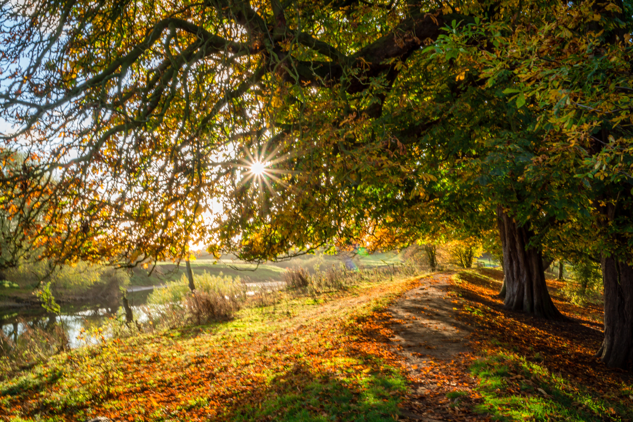 Sony a5100 + Sony E PZ 18-105mm F4 G OSS sample photo. Benningbrough hall - autumn sun photography