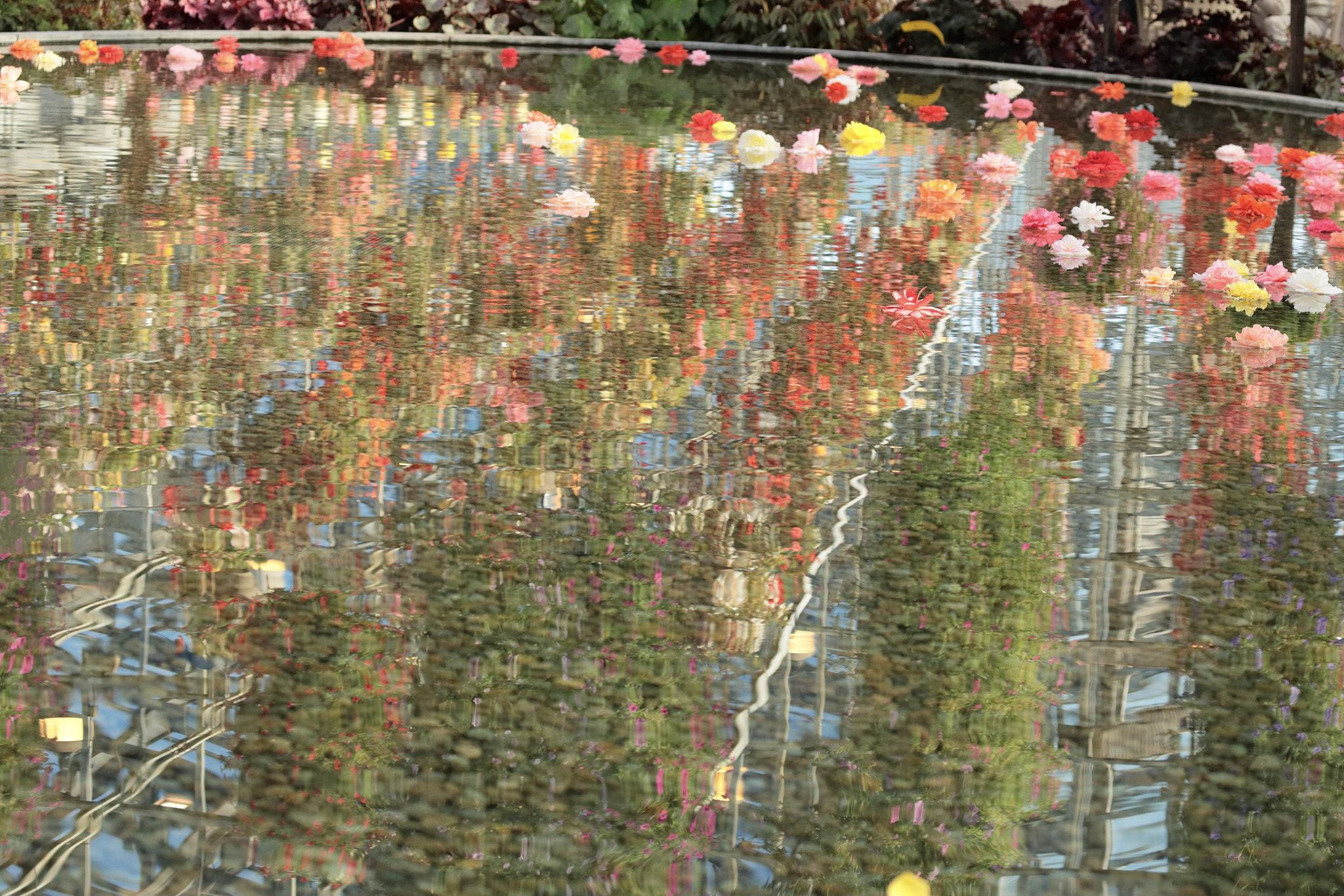 Canon EOS-1D X Mark II sample photo. Flowers photography