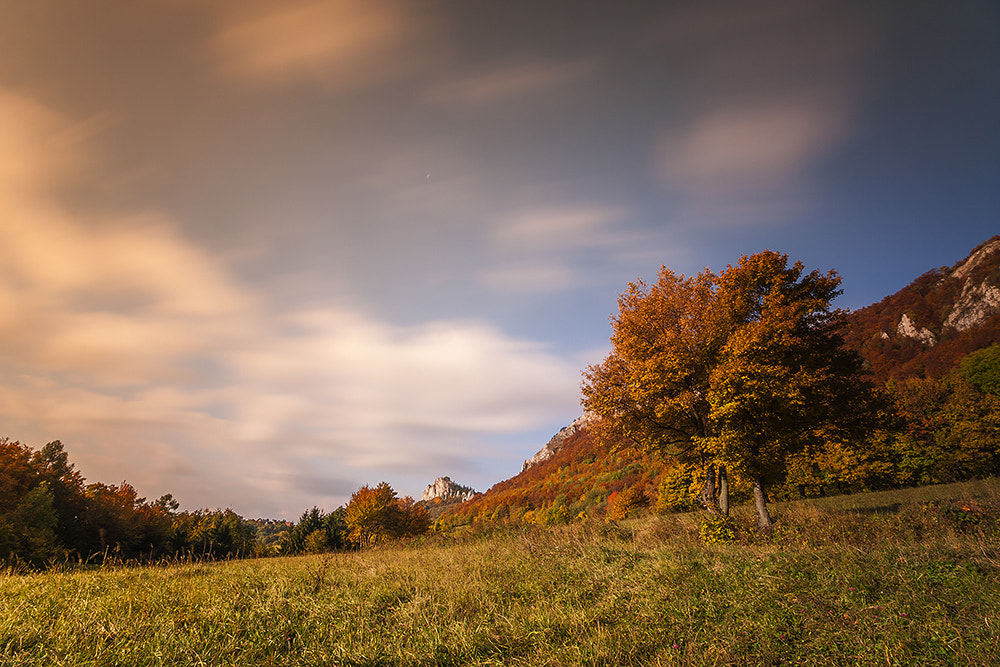Canon EOS 40D sample photo. Autumn photography
