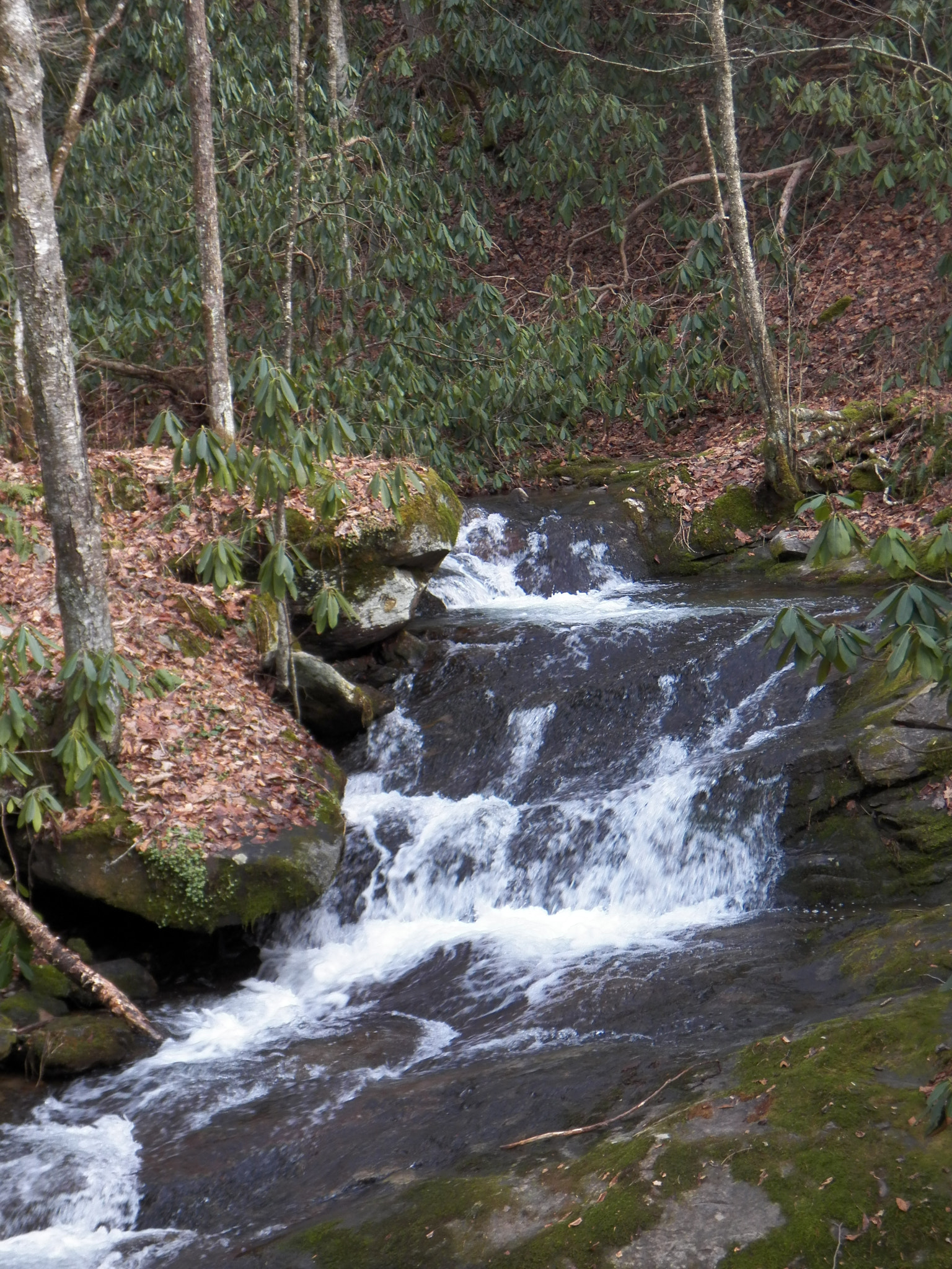 Kodak EasyShare Z990 (EasyShare Max) sample photo. Mountain stream photography