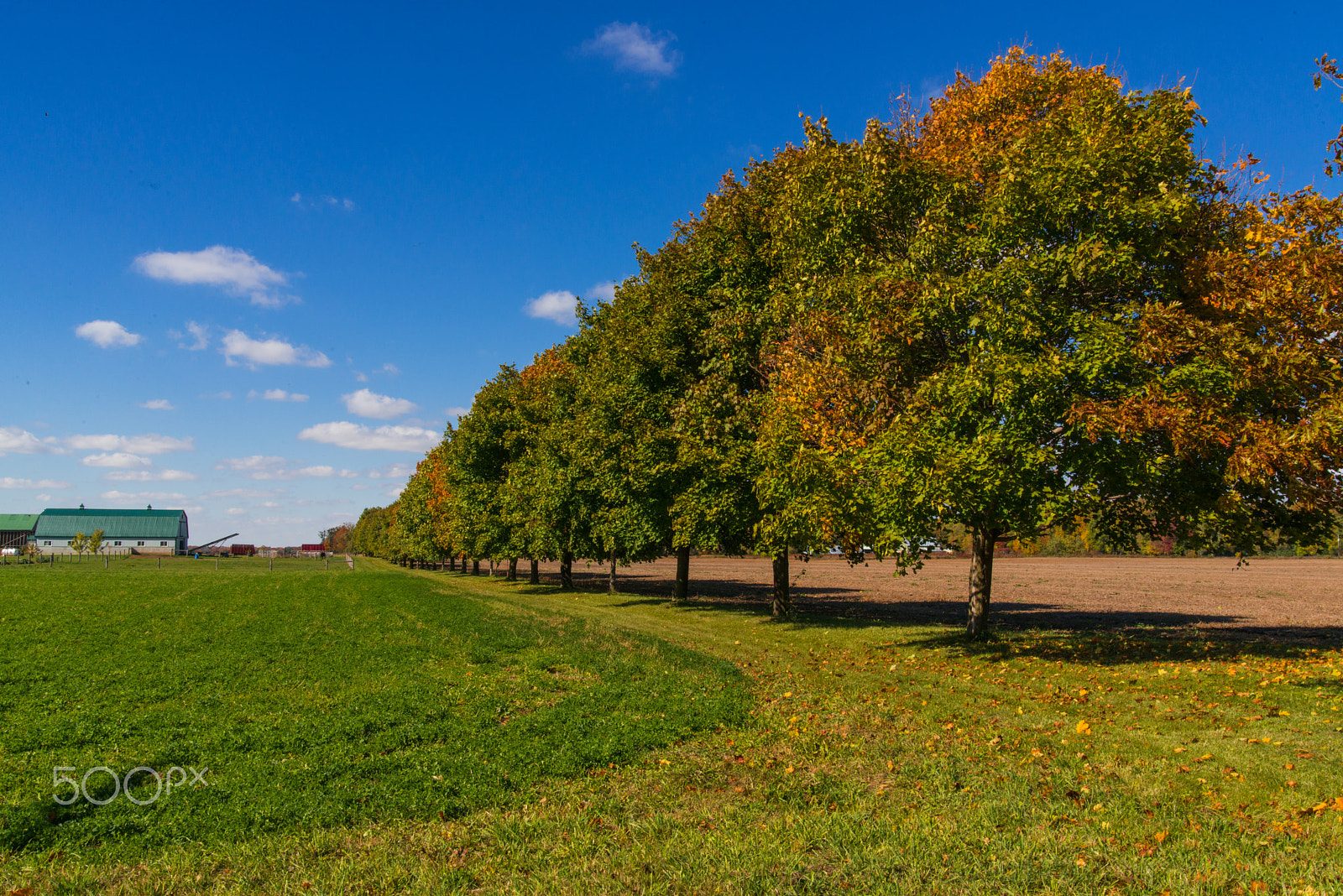 Nikon D800 sample photo. Autumn on the farm photography