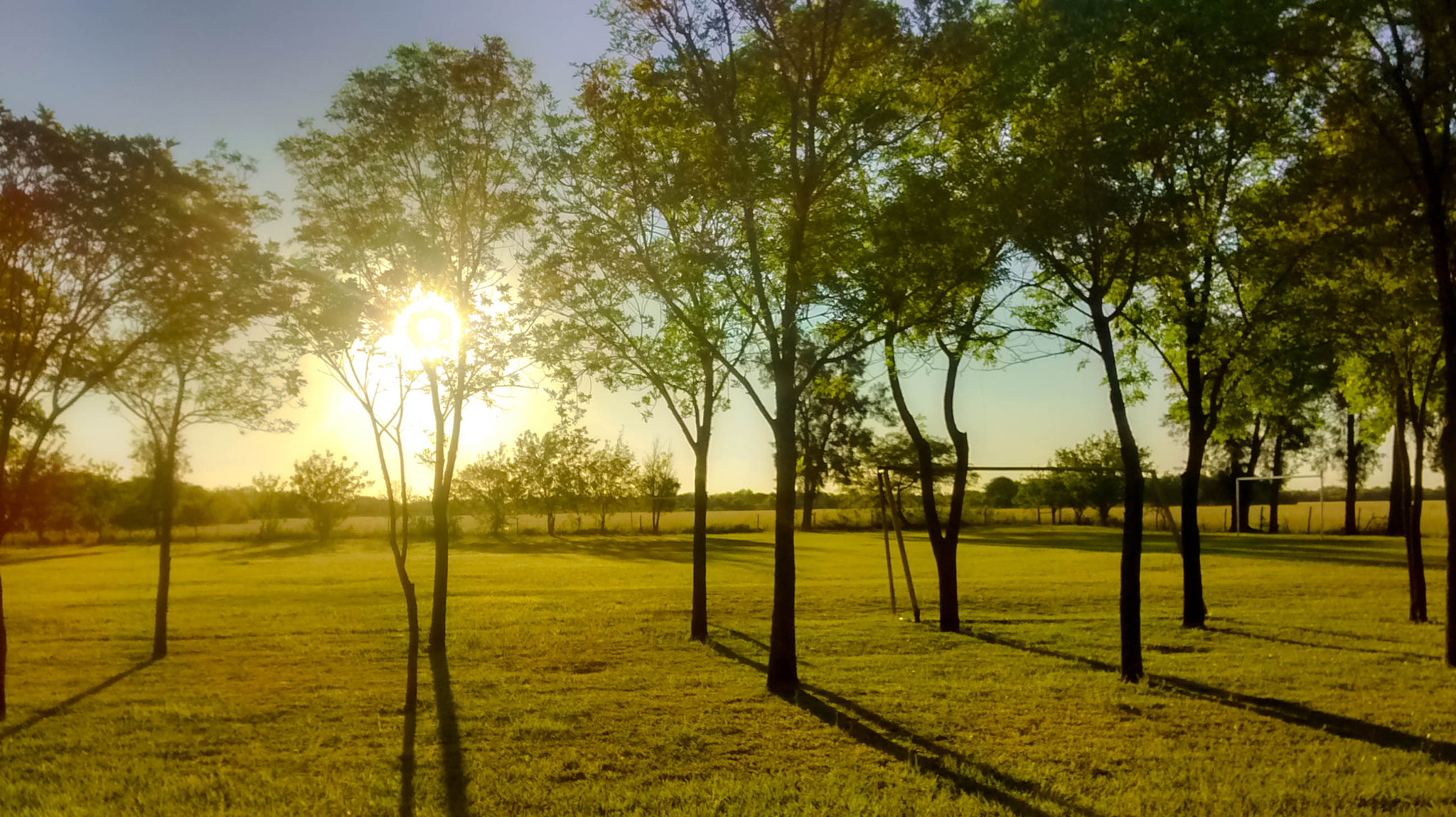 Motorola Moto G with 4G LTE (1st Gen) sample photo. Hdr photography