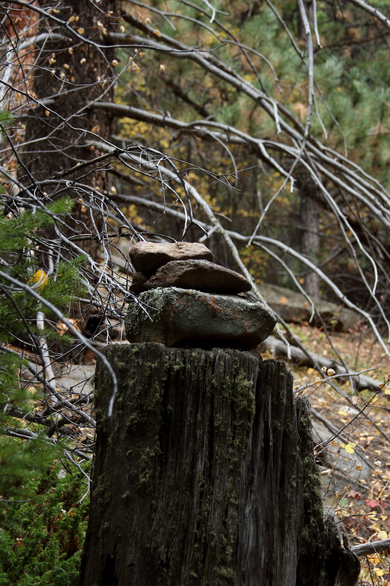 Canon EOS 100D (EOS Rebel SL1 / EOS Kiss X7) sample photo. Stacked rocks photography