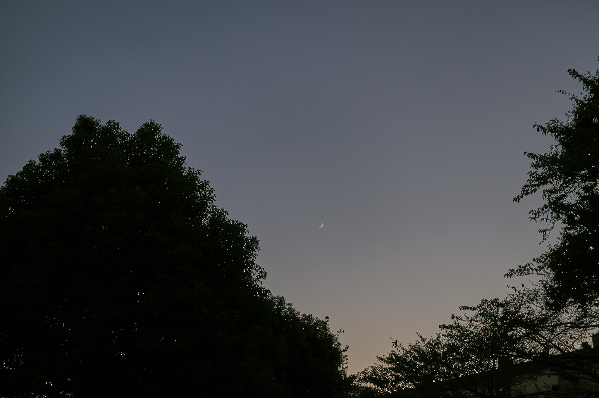 Sony Alpha NEX-5T sample photo. The new moon photography