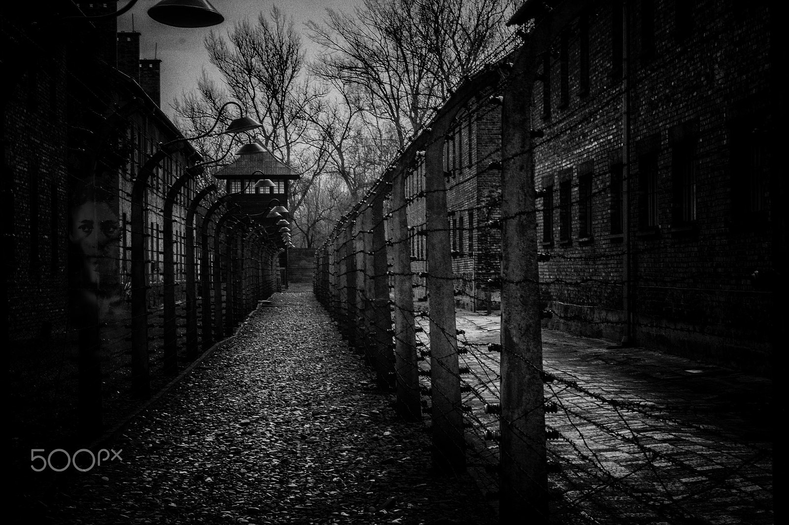 Sony SLT-A65 (SLT-A65V) sample photo. Ghosts of auschwitz photography