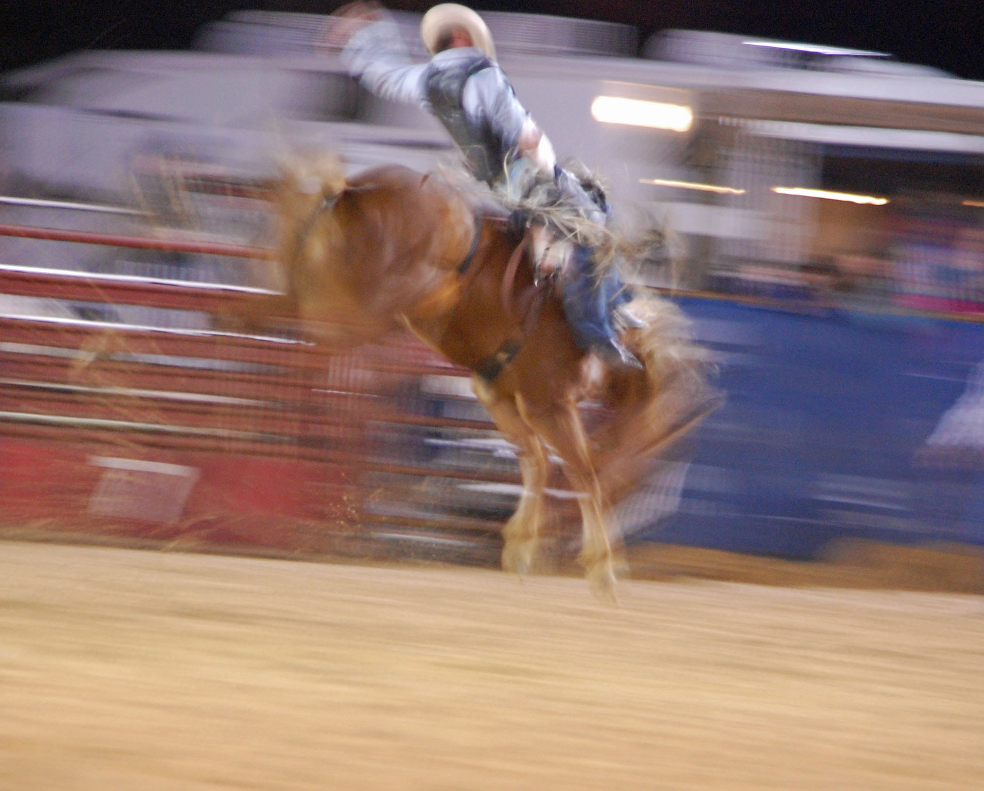 Nikon D40 sample photo. Ride 'em cowboy! photography