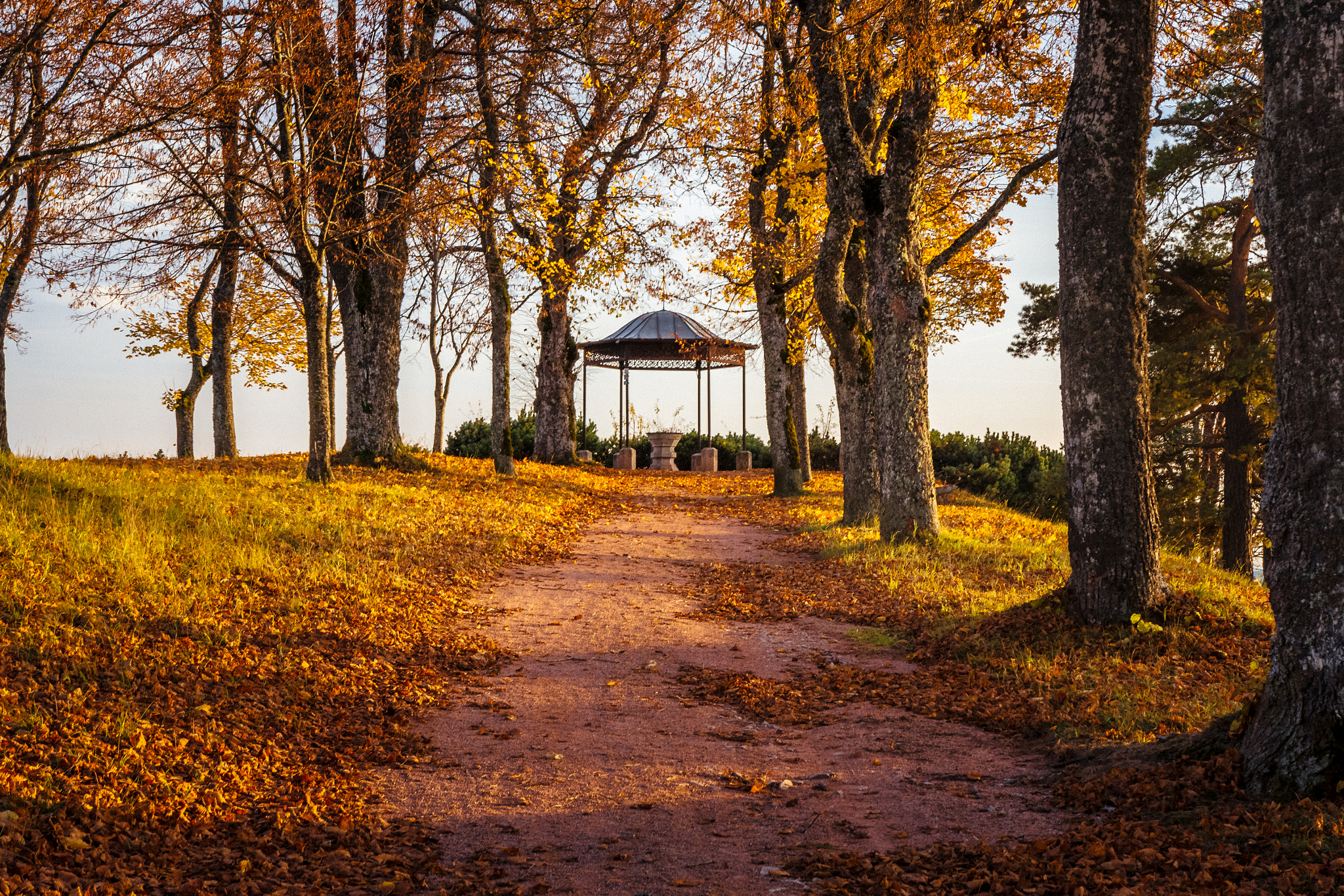 Nikon D5200 + Sigma 18-35mm F1.8 DC HSM Art sample photo. Autumn photography