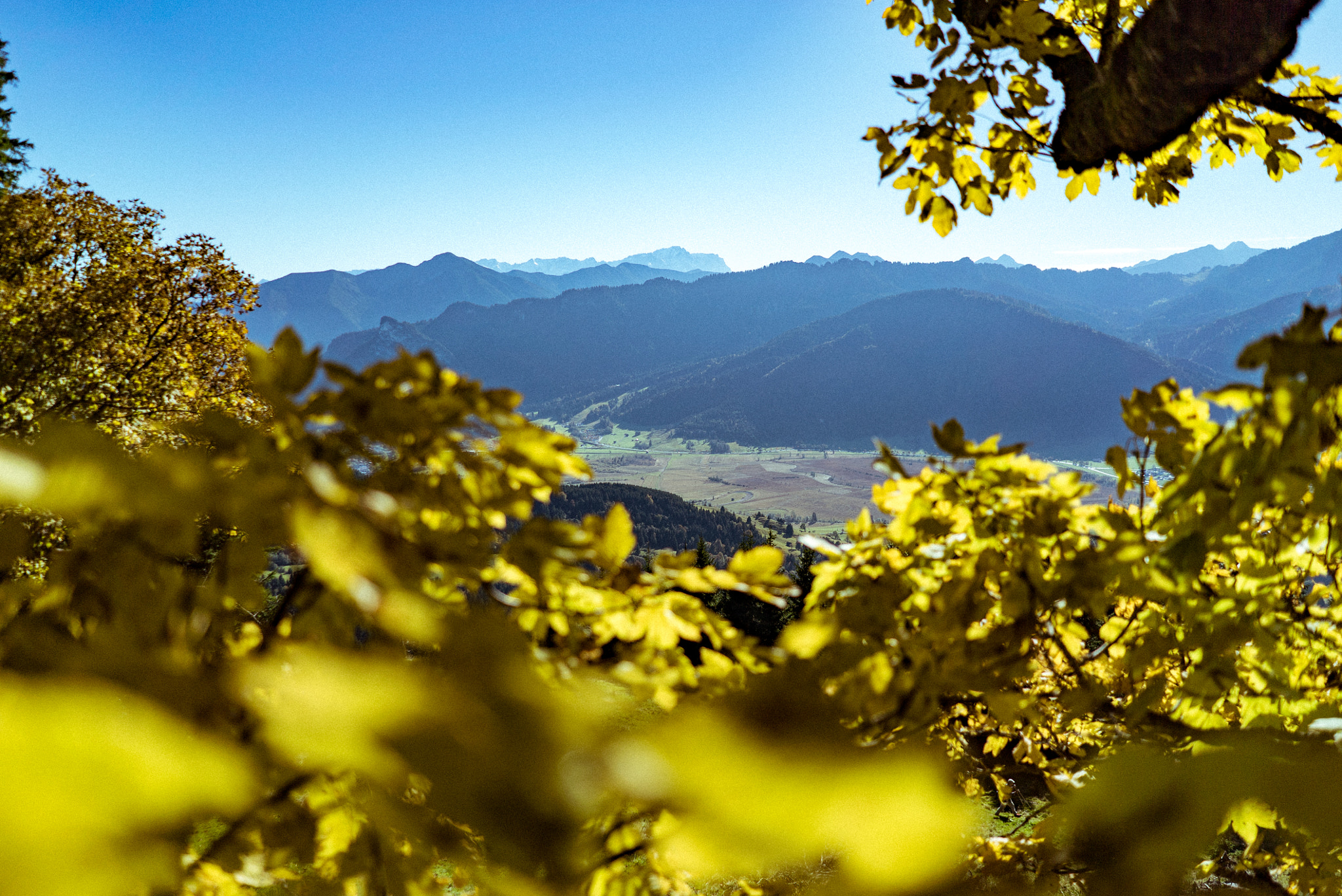 Sony FE 28mm F2 sample photo. Autumn is coming photography
