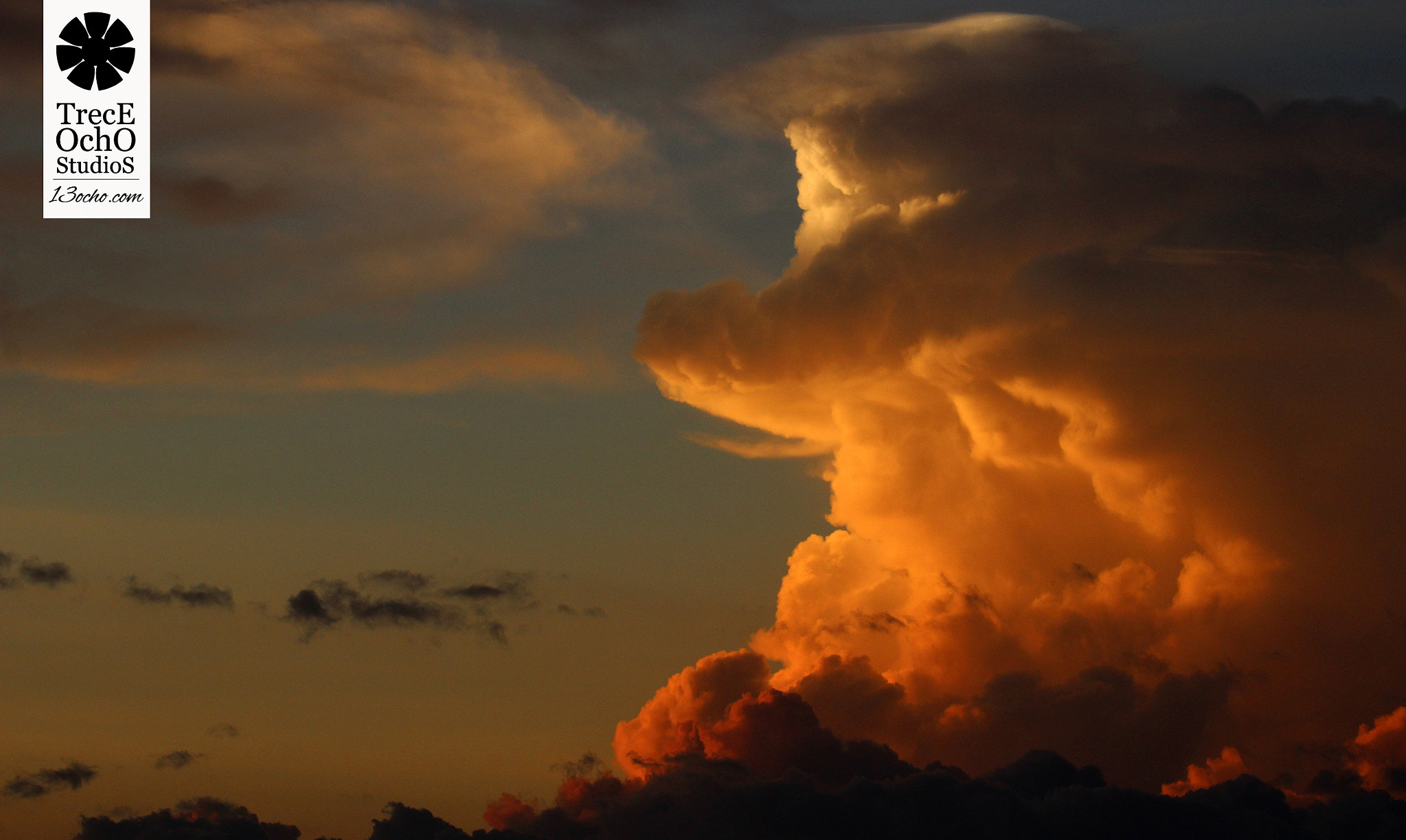 Canon EF 35-350mm F3.5-5.6L USM sample photo. Showoff photography