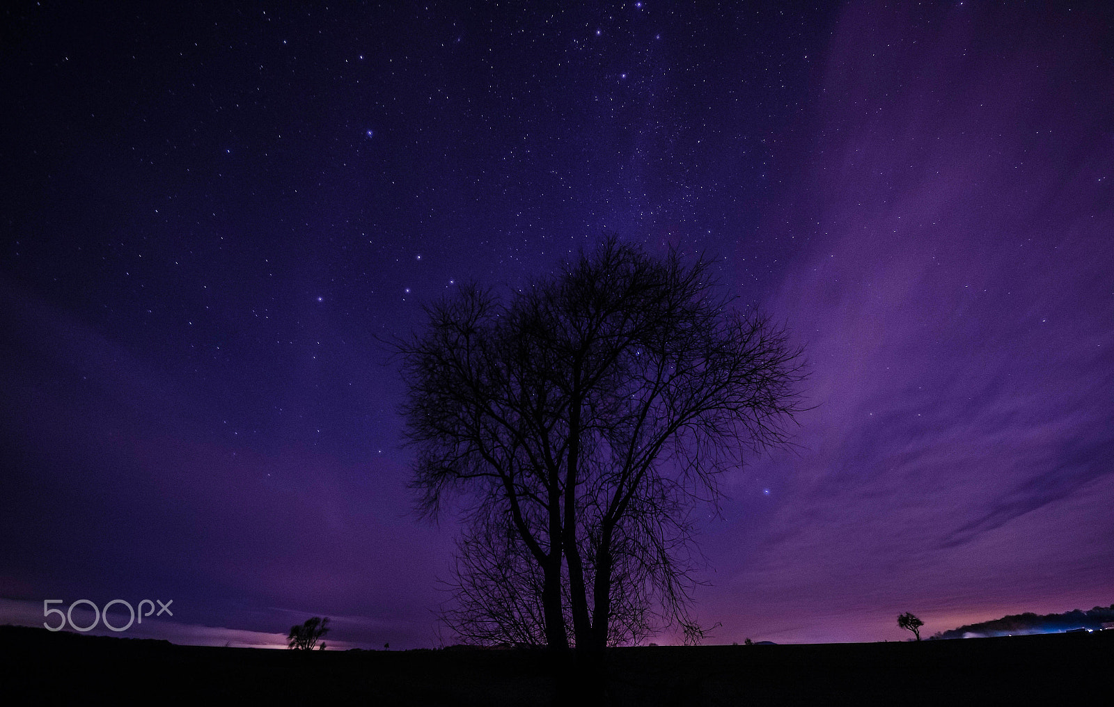 Sigma 8-16mm F4.5-5.6 DC HSM sample photo. Stars and trees photography