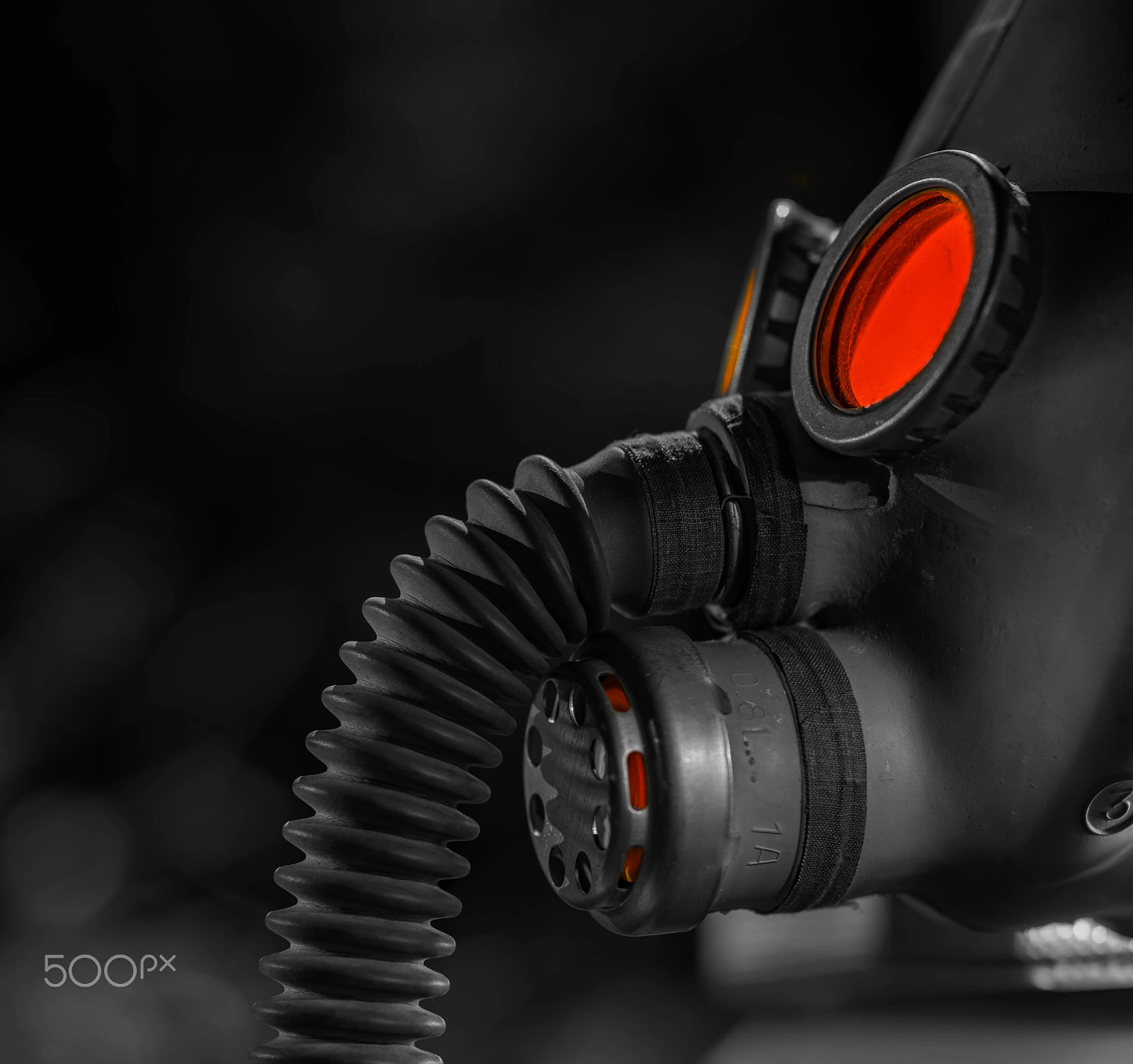 Sony a7R + ZEISS Batis 85mm F1.8 sample photo. War is horror photography