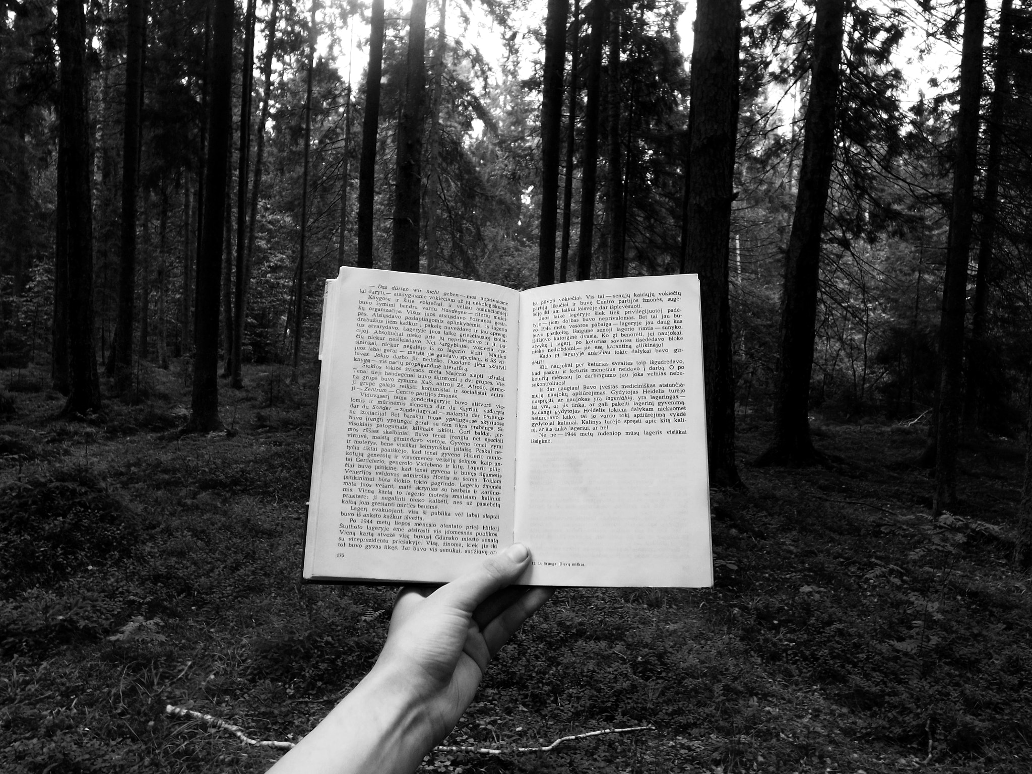 Fujifilm FinePix S4900 sample photo. Book in the front of forest photography