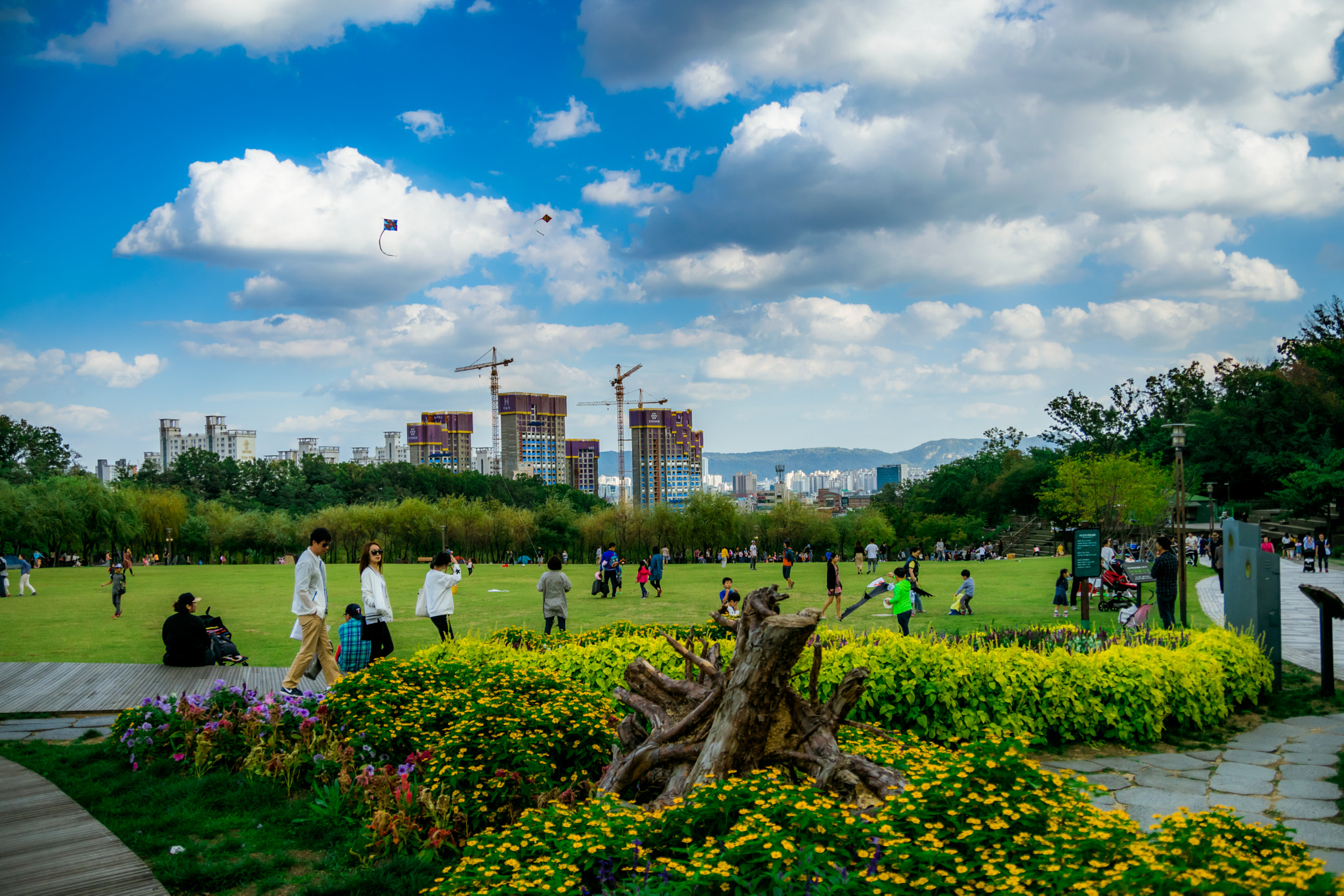 Nikon D5300 + Sigma 18-50mm F2.8 EX DC Macro sample photo. Seoul dream forest park photography