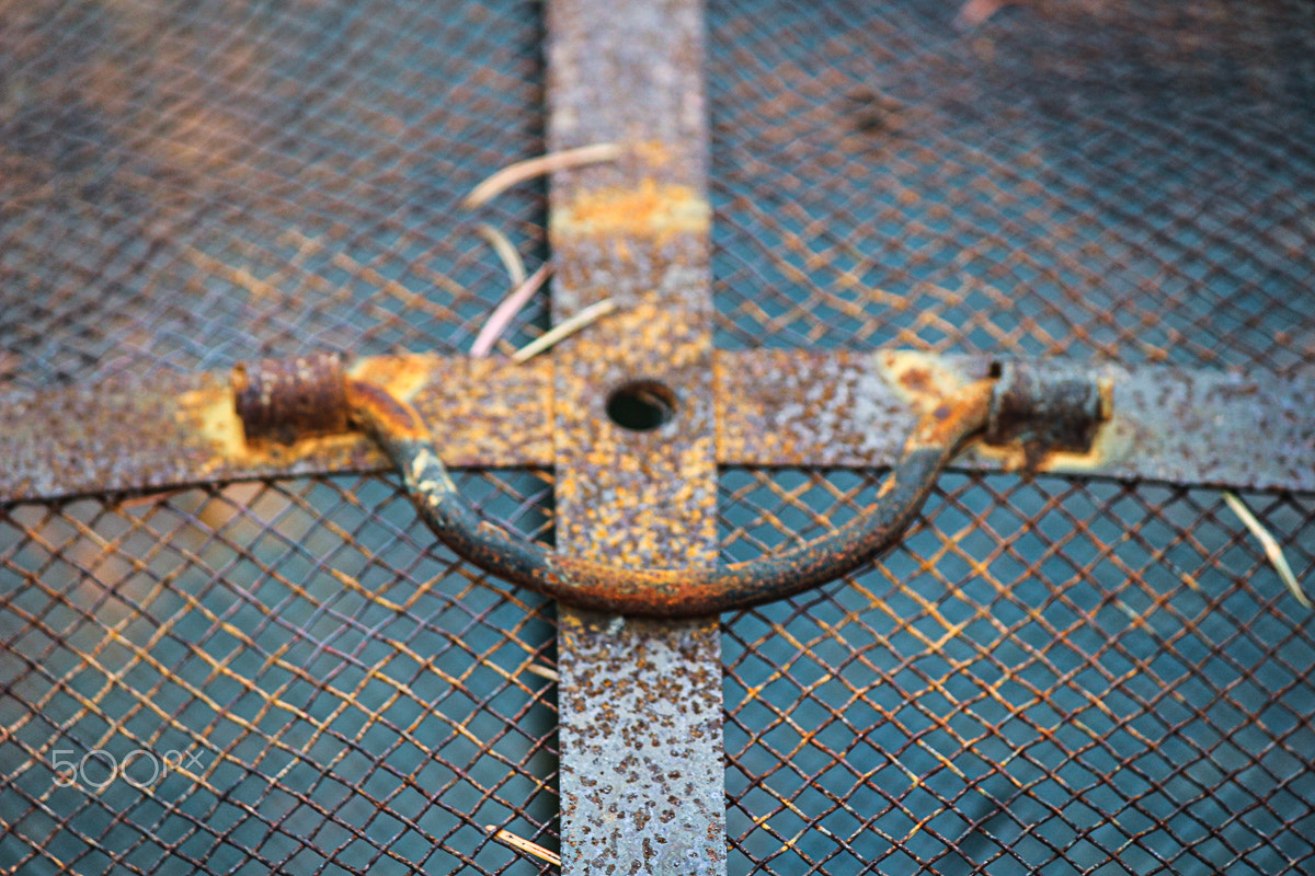 Canon EOS 100D (EOS Rebel SL1 / EOS Kiss X7) sample photo. Rusted metal outdoors photography