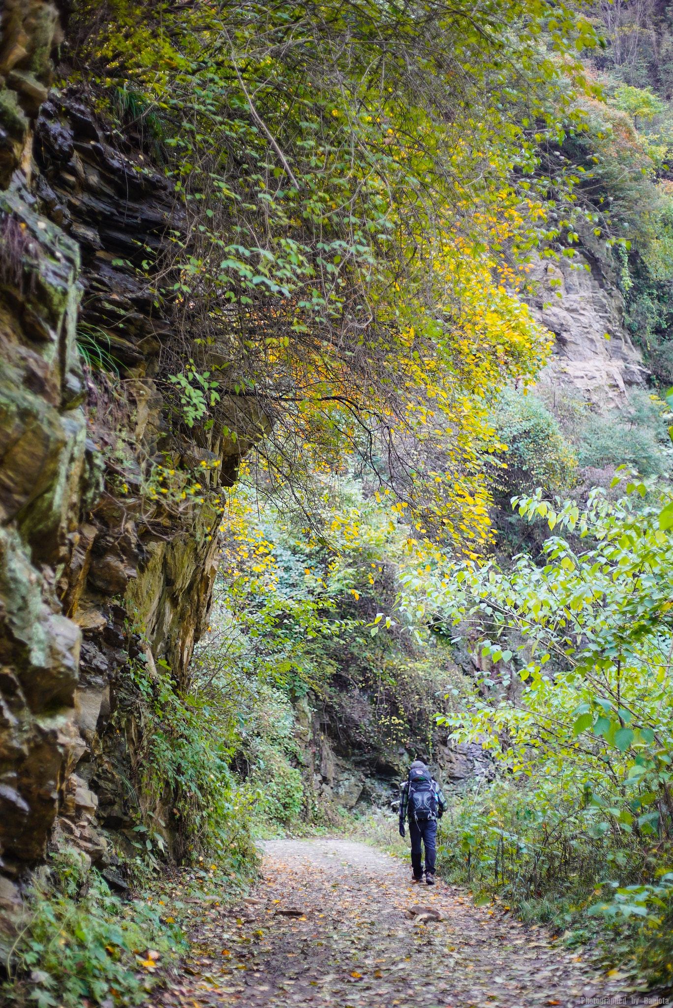 Sony a7S II sample photo. Hiking photography