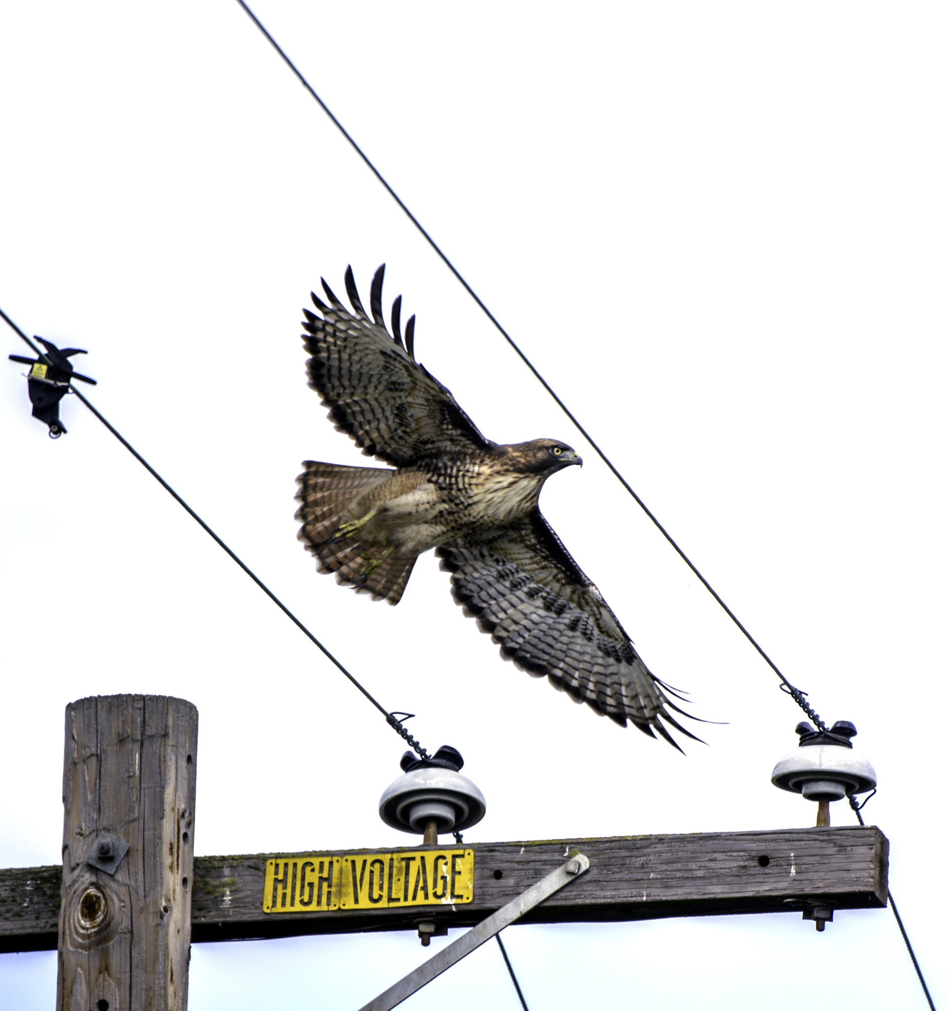 Nikon D600 sample photo. Between the lines photography