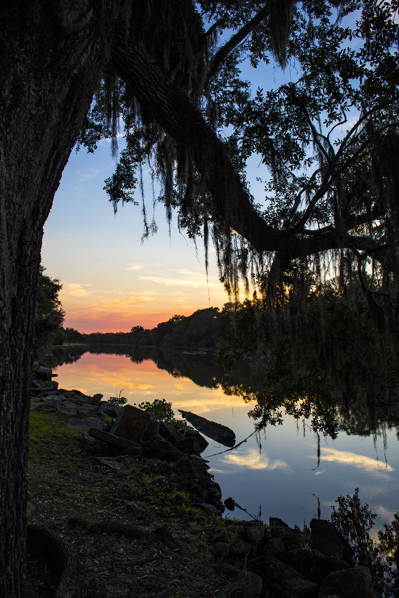 Canon EF 28mm F2.8 IS USM sample photo. Twilight oak photography