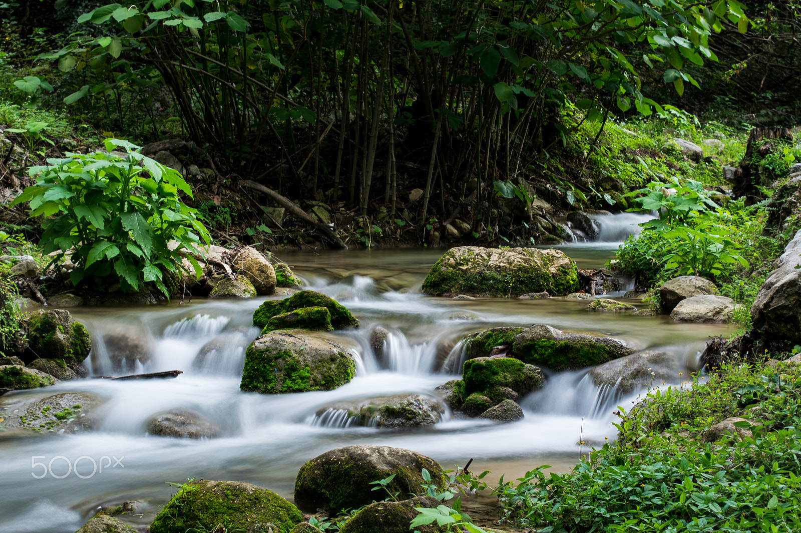 Nikon D5300 + Nikon AF-S Nikkor 50mm F1.4G sample photo. Waterfall photography