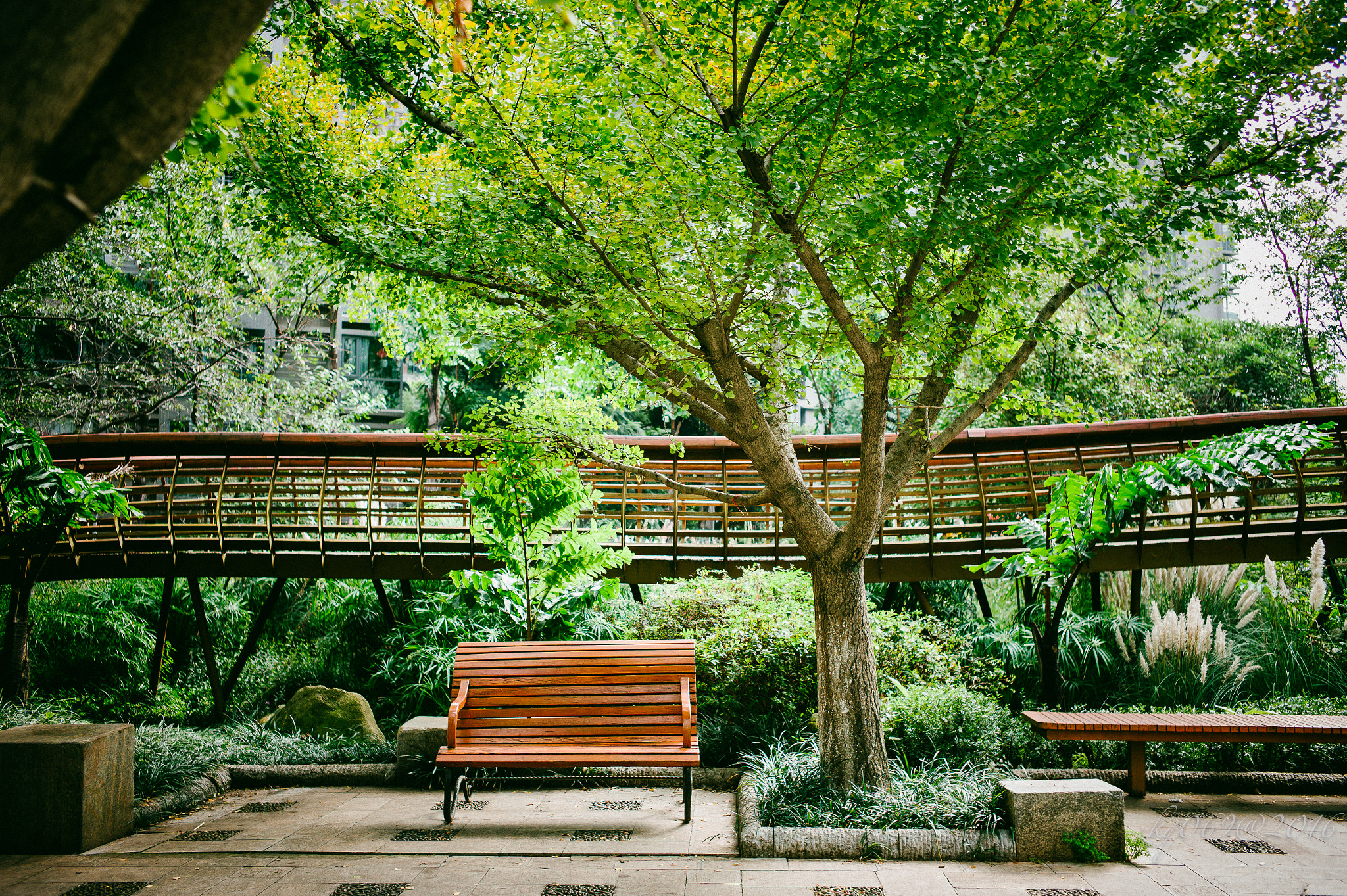 Leica M9 + Leica Summicron-M 35mm F2 ASPH sample photo