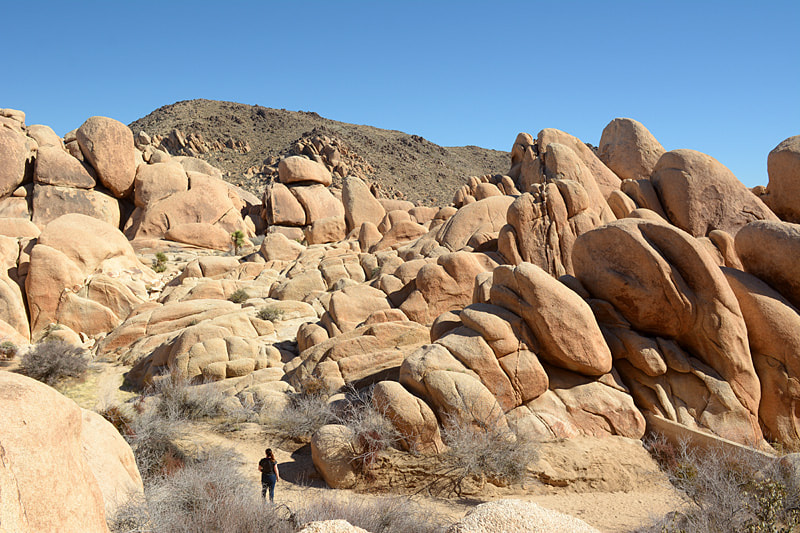 Nikon AF-S Nikkor 70-200mm F4G ED VR sample photo. Joshua tree photography