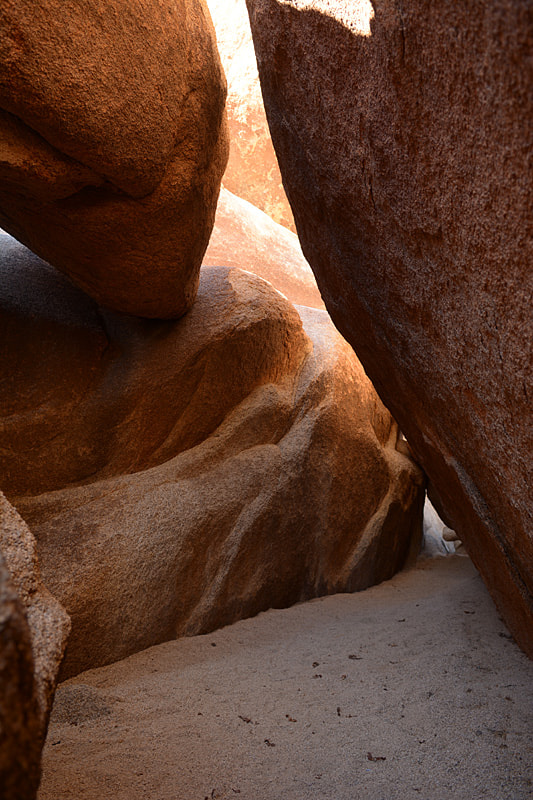 AF Nikkor 35mm f/2 sample photo. Joshua tree photography