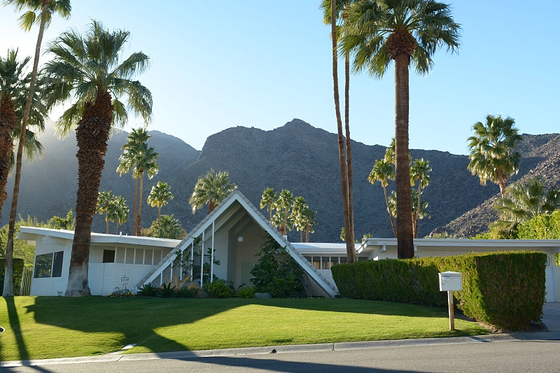 Nikon D7100 + Nikon PC-E Nikkor 24mm F3.5D ED Tilt-Shift sample photo. Palm springs photography