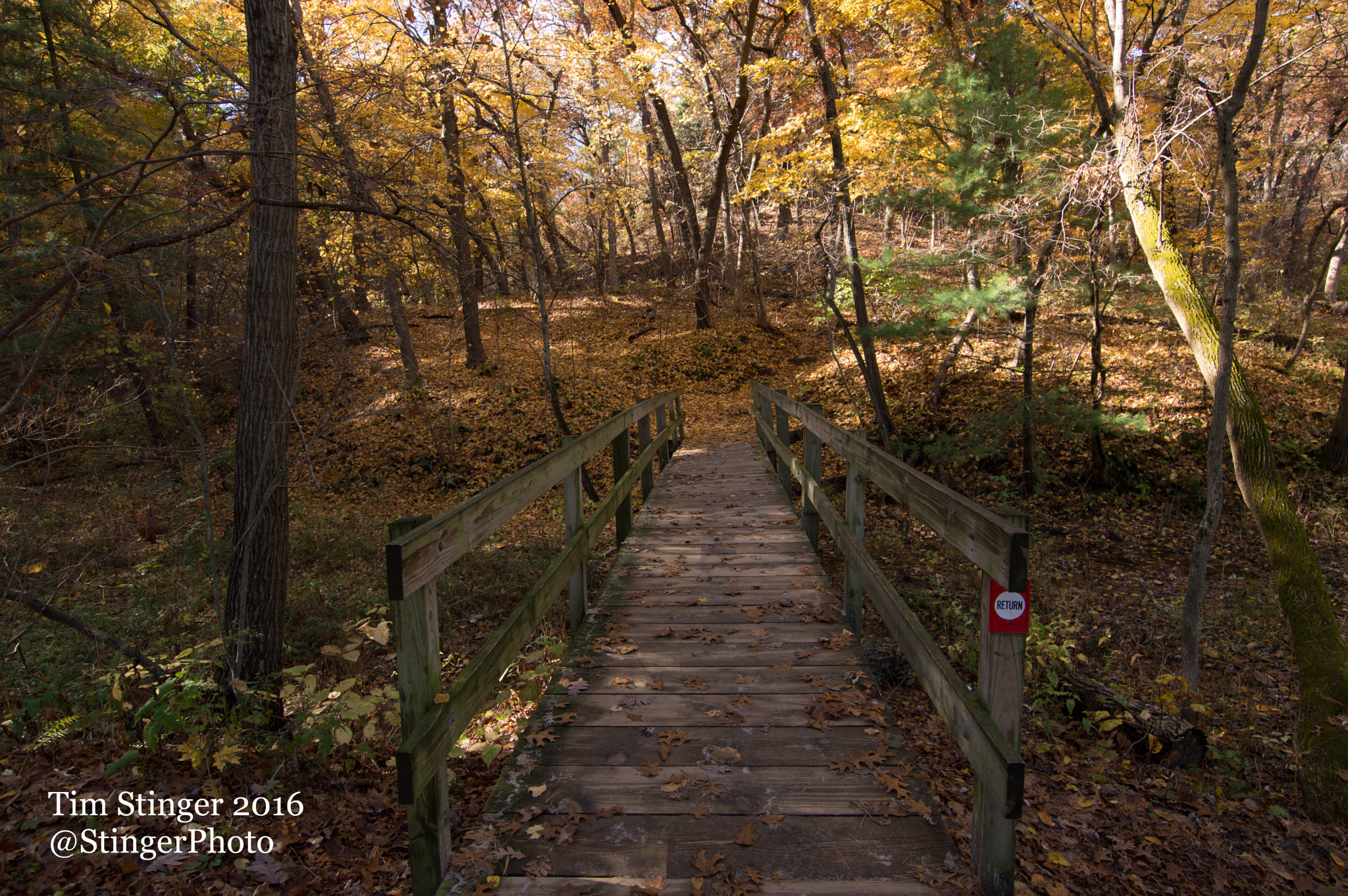 Nikon D3200 sample photo. Bridge home photography
