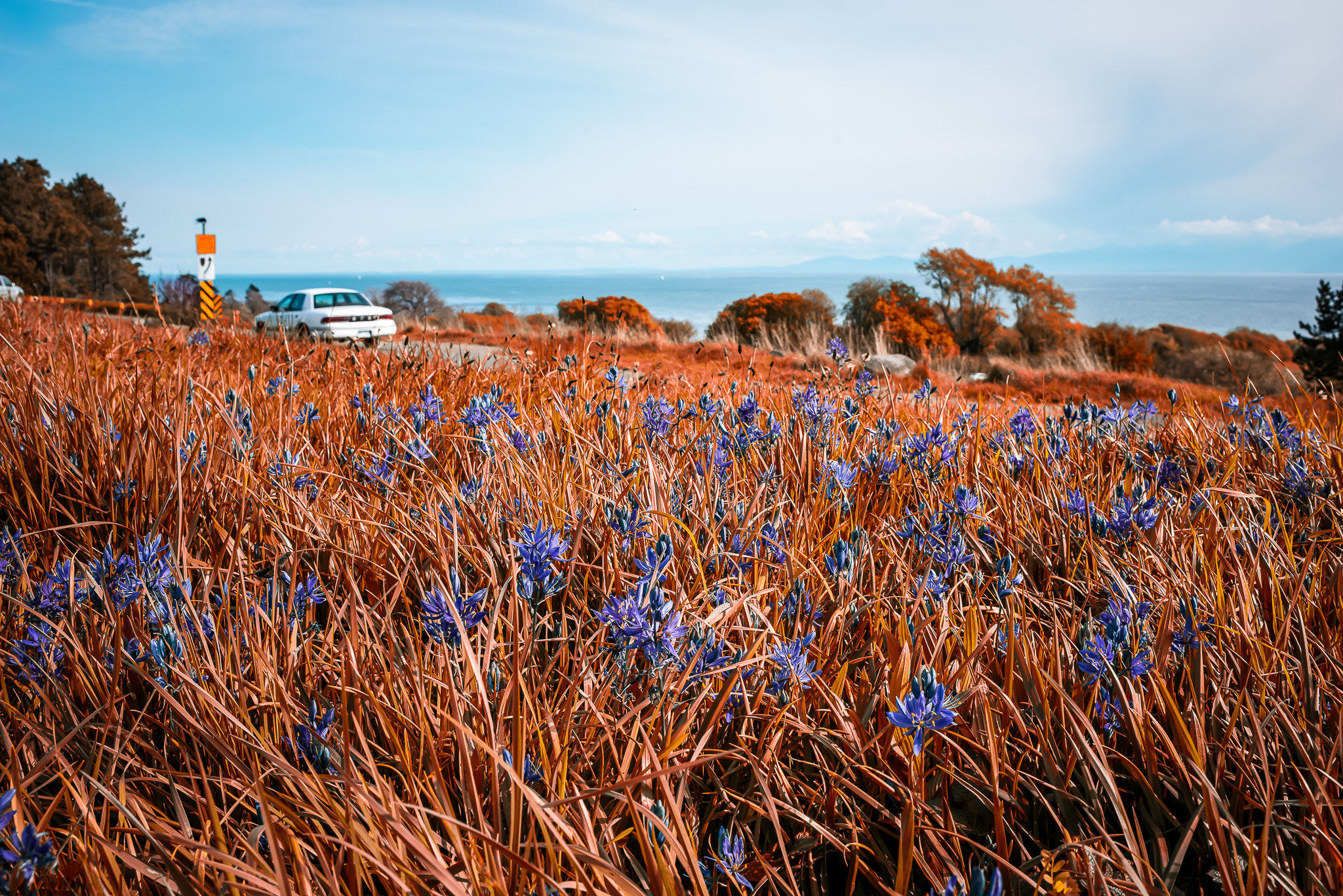 Nikon D810 + Nikon AF-S Nikkor 35mm F1.4G sample photo. Edit photography
