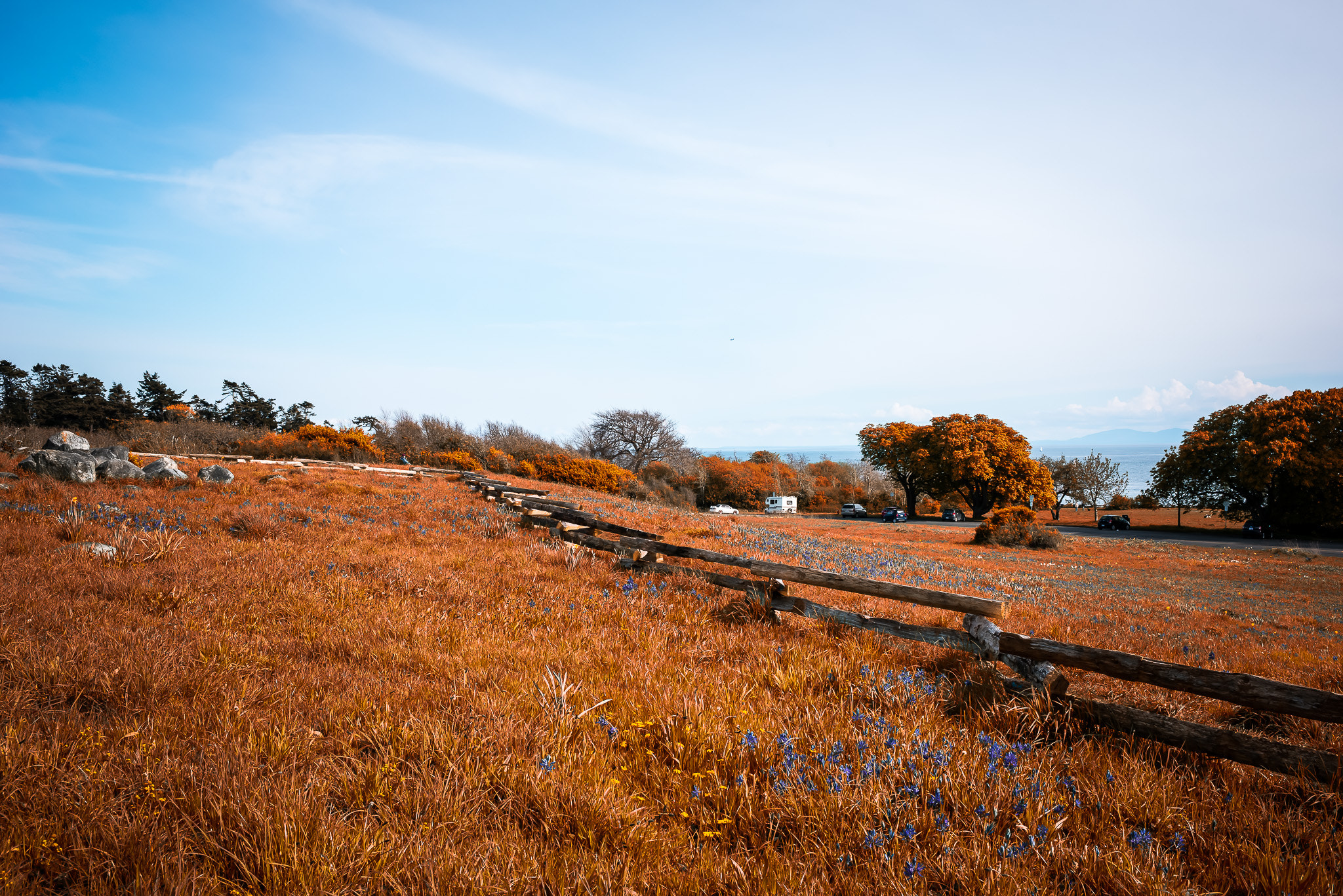 Nikon D810 + Nikon AF-S Nikkor 35mm F1.4G sample photo. Edit photography