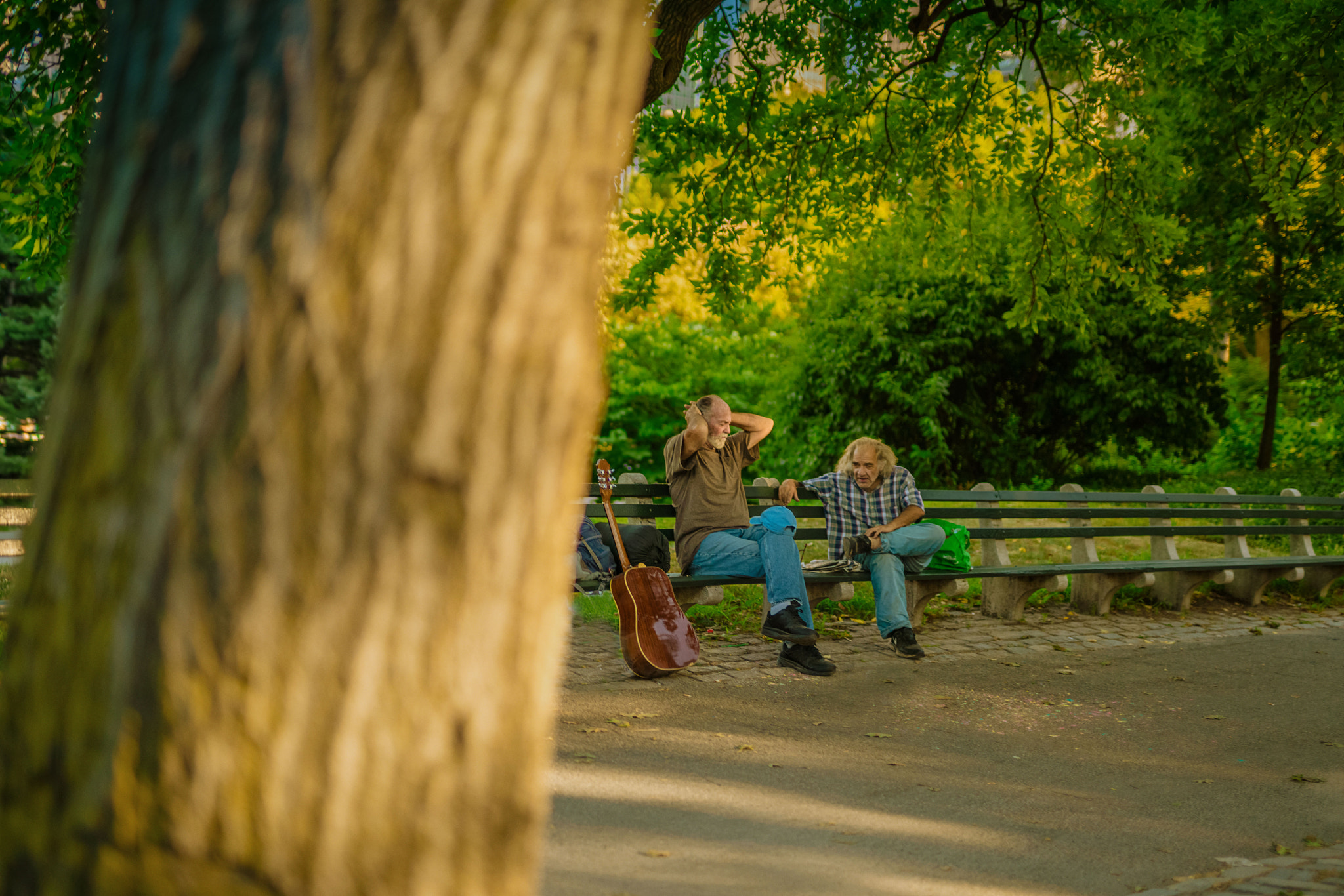 Sony a7R II + Canon 50mm F1.4 DG HSM | Art 014 sample photo. Central park photography