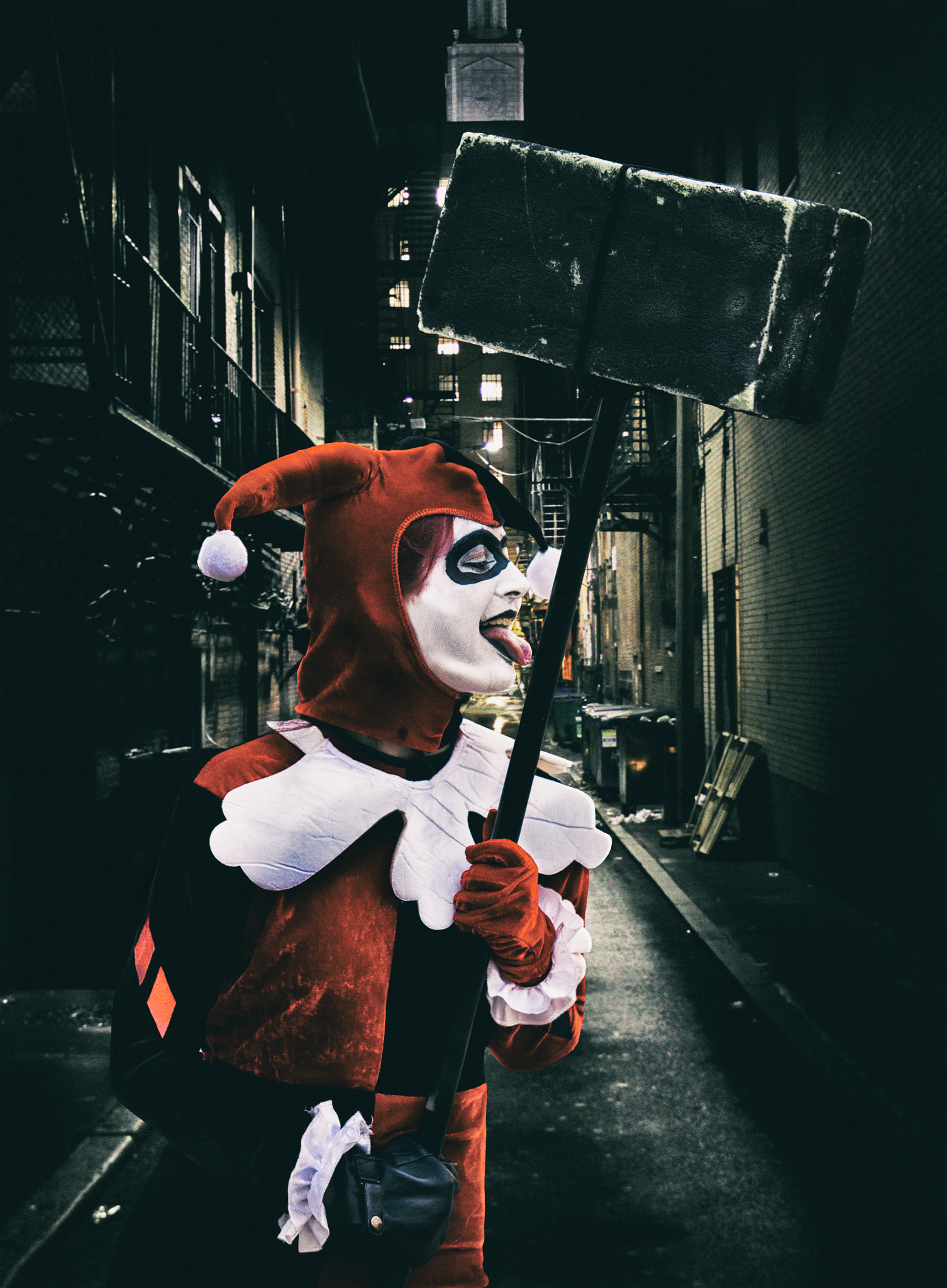 Canon EF 70-200mm F2.8L USM sample photo. Harley quinn photography