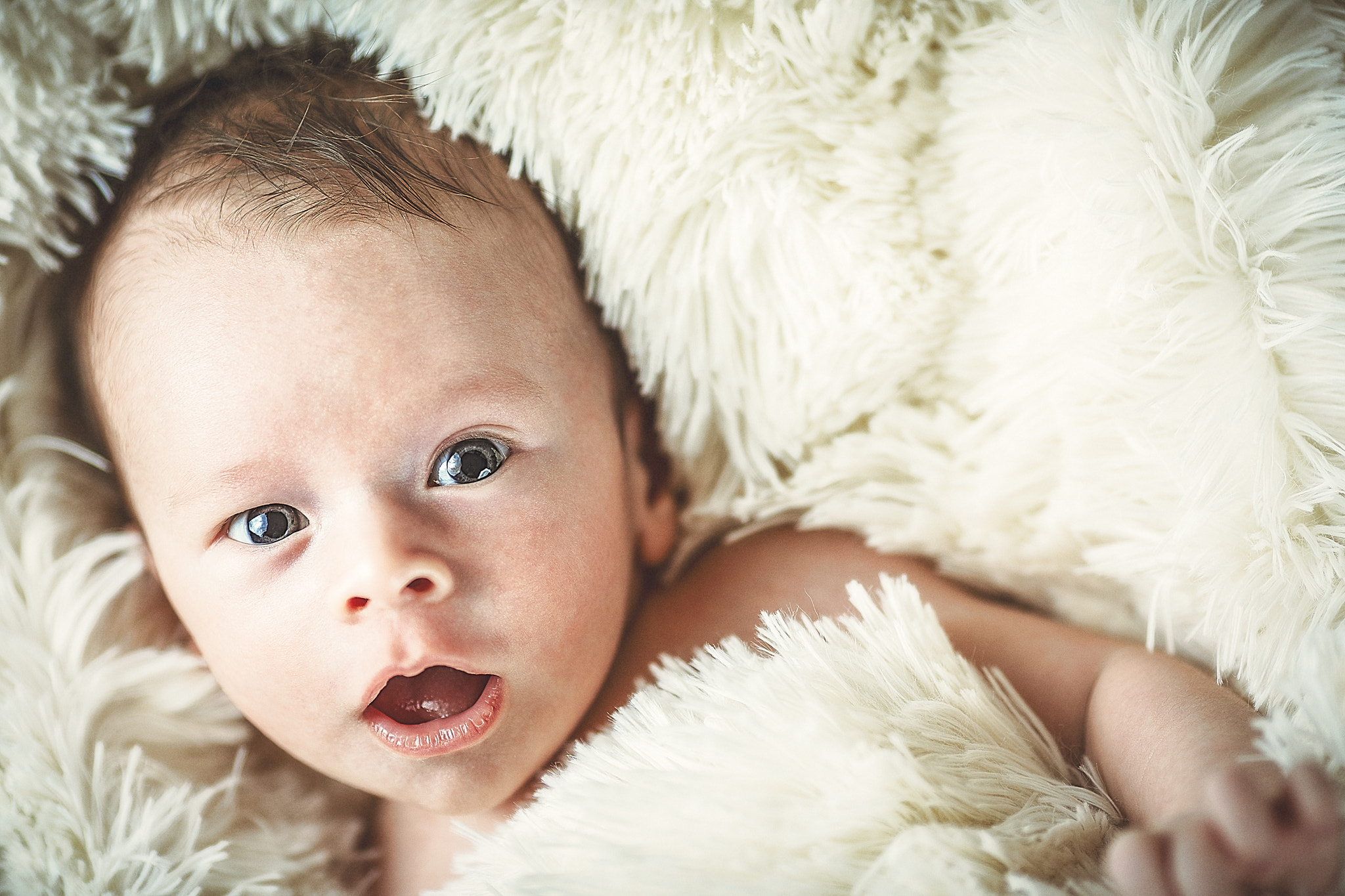 Canon EOS 5D Mark IV + Canon EF 135mm F2L USM sample photo. Fluffy xander photography