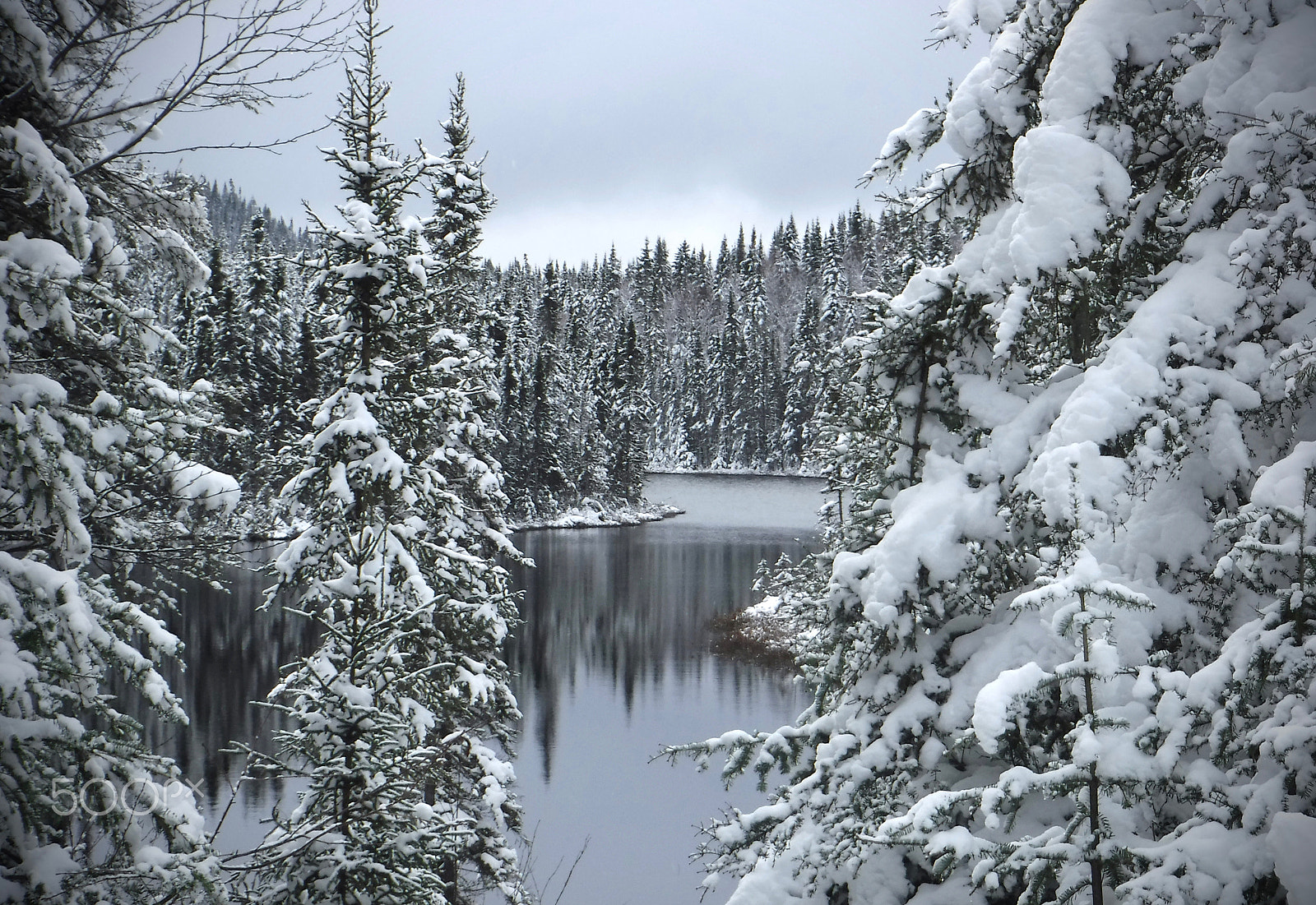 Fujifilm FinePix XP90 XP91 XP95 sample photo. Arbre,neige et lac photography