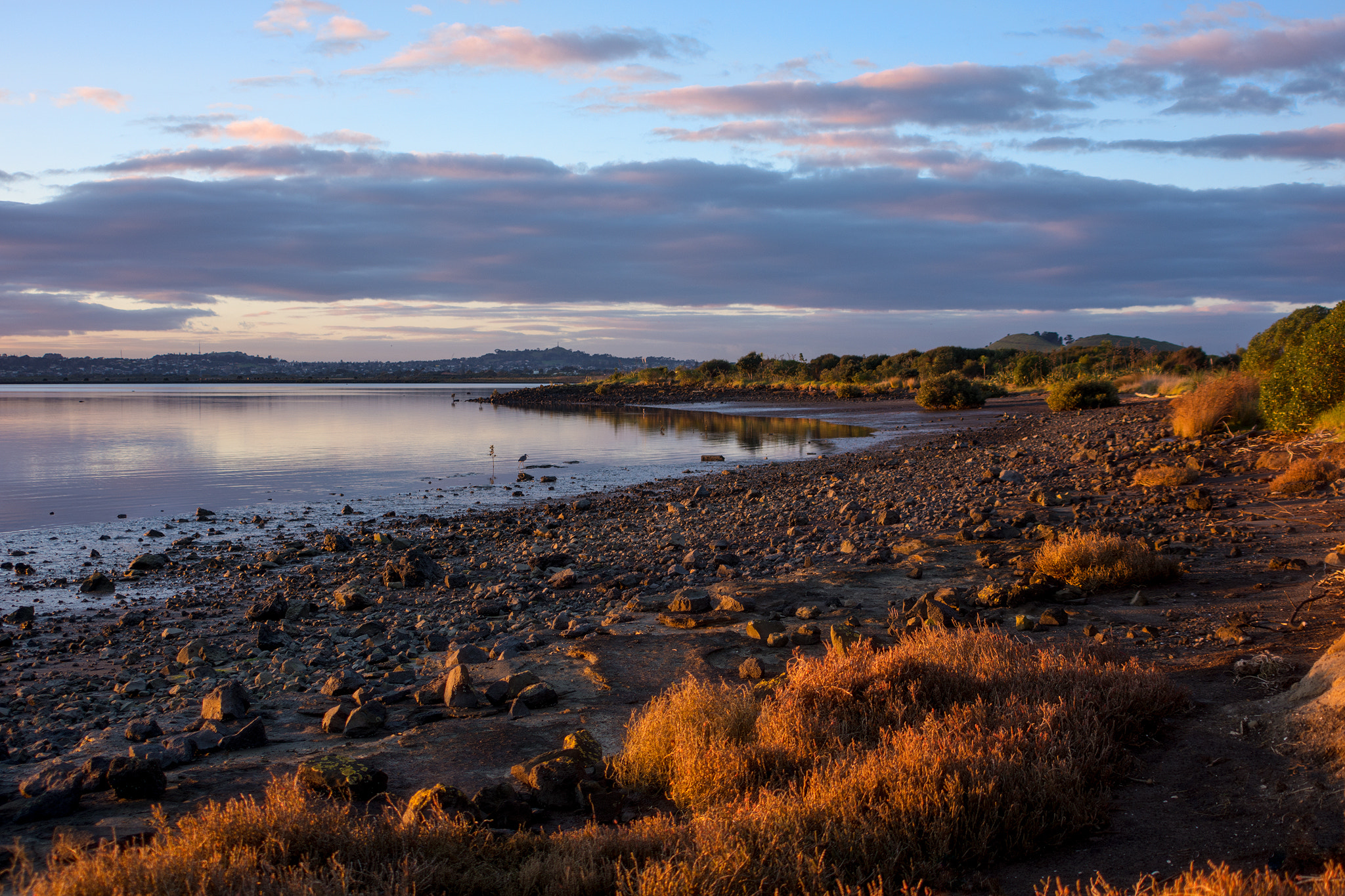 AF Zoom-Nikkor 28-200mm f/3.5-5.6D IF sample photo. Oruarangi road, mangere, auckland, new zealand photography