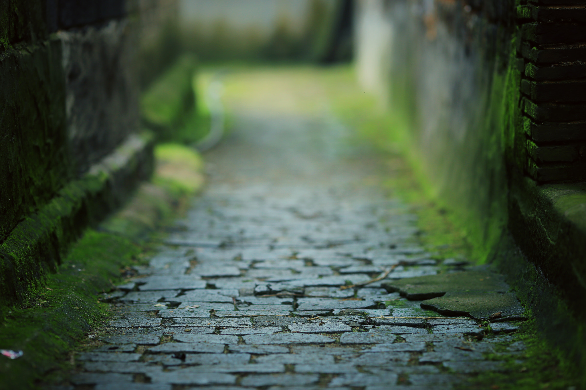 Canon EF 135mm F2L USM sample photo. Old road photography