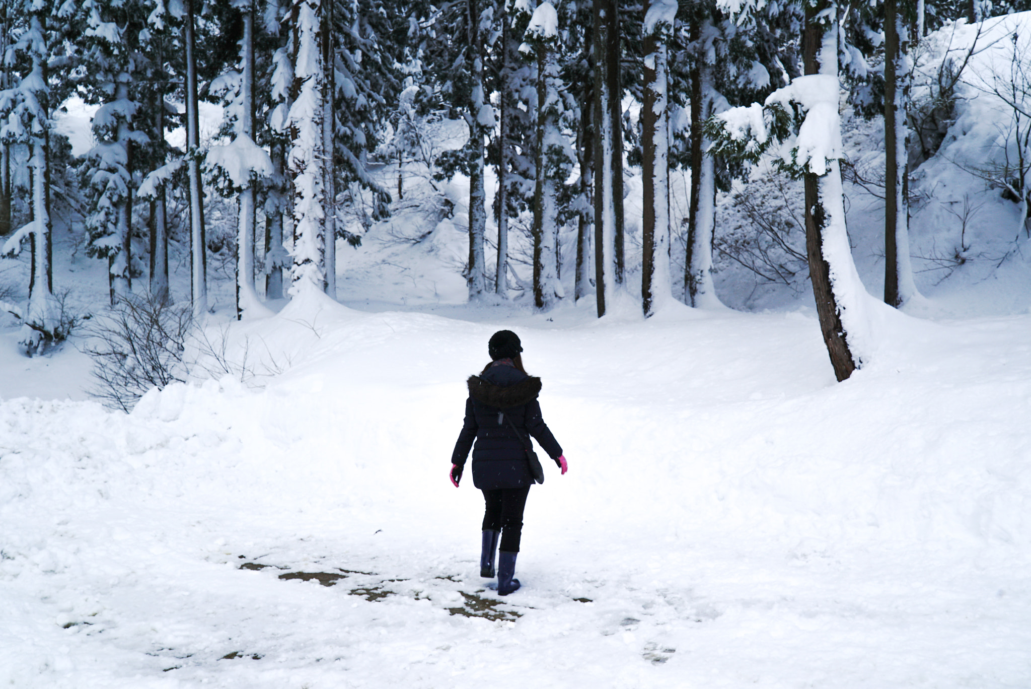 Sony a7S sample photo. Snow photography