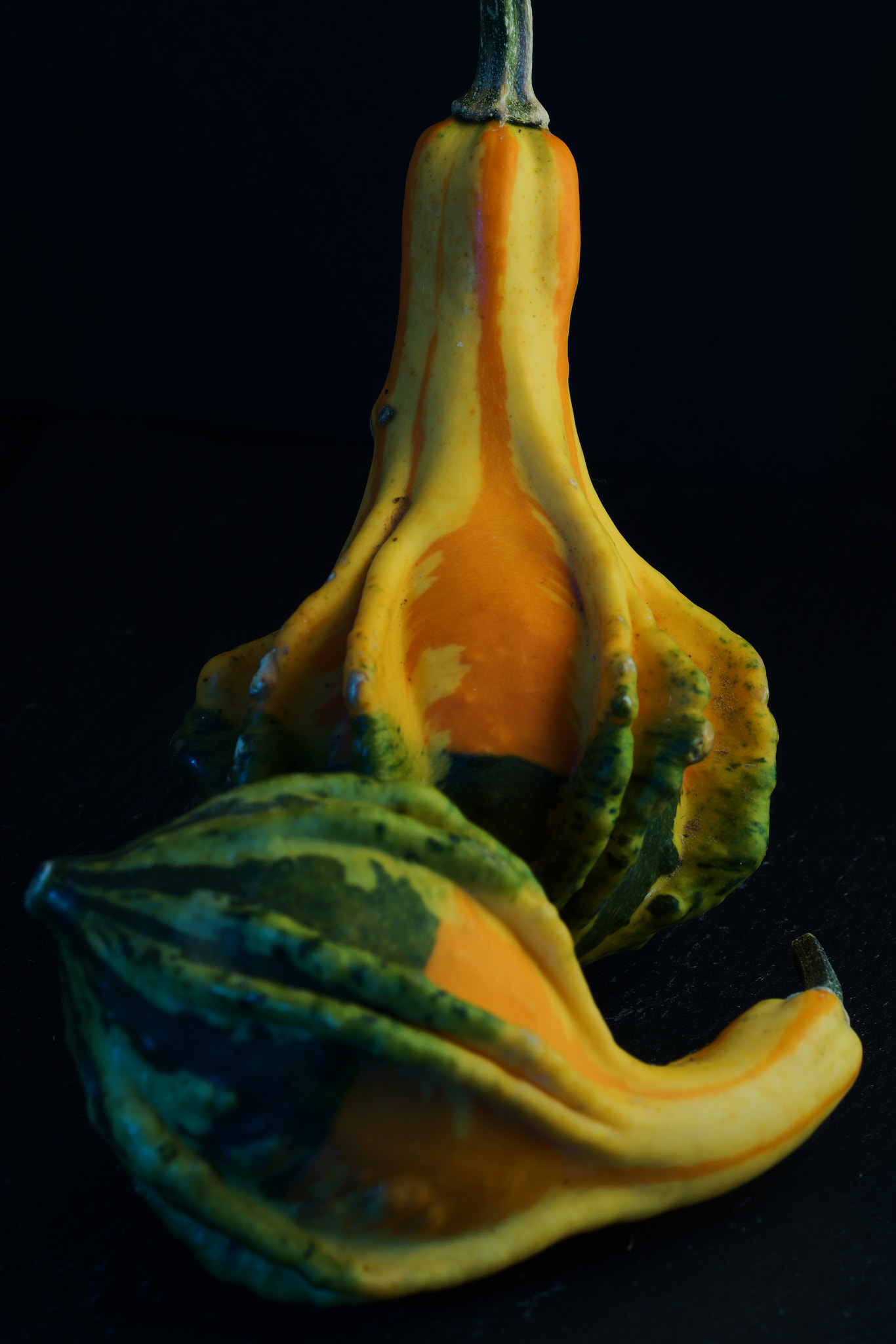 Sony a7 sample photo. Fall squash. photography