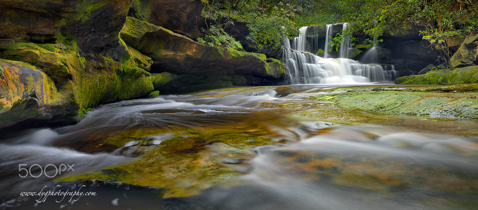 Sigma 24-70mm F2.8 EX DG HSM sample photo. Moss green valley photography