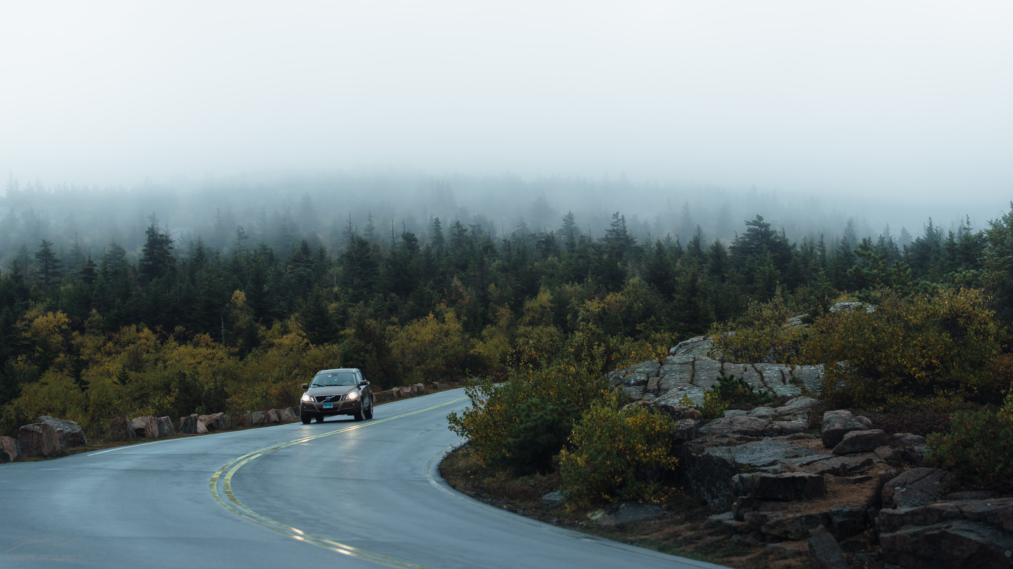 Pentax K-1 + Pentax D FA* 70-200mm F2.8ED DC AW sample photo. Through a foggy road photography