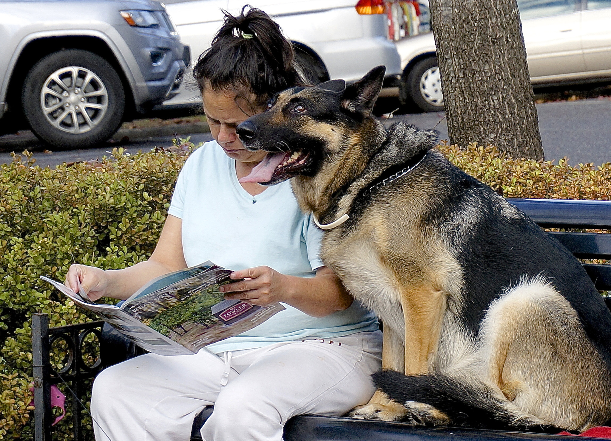 Sony E 18-50mm F4-5.6 sample photo. Dog tales photography