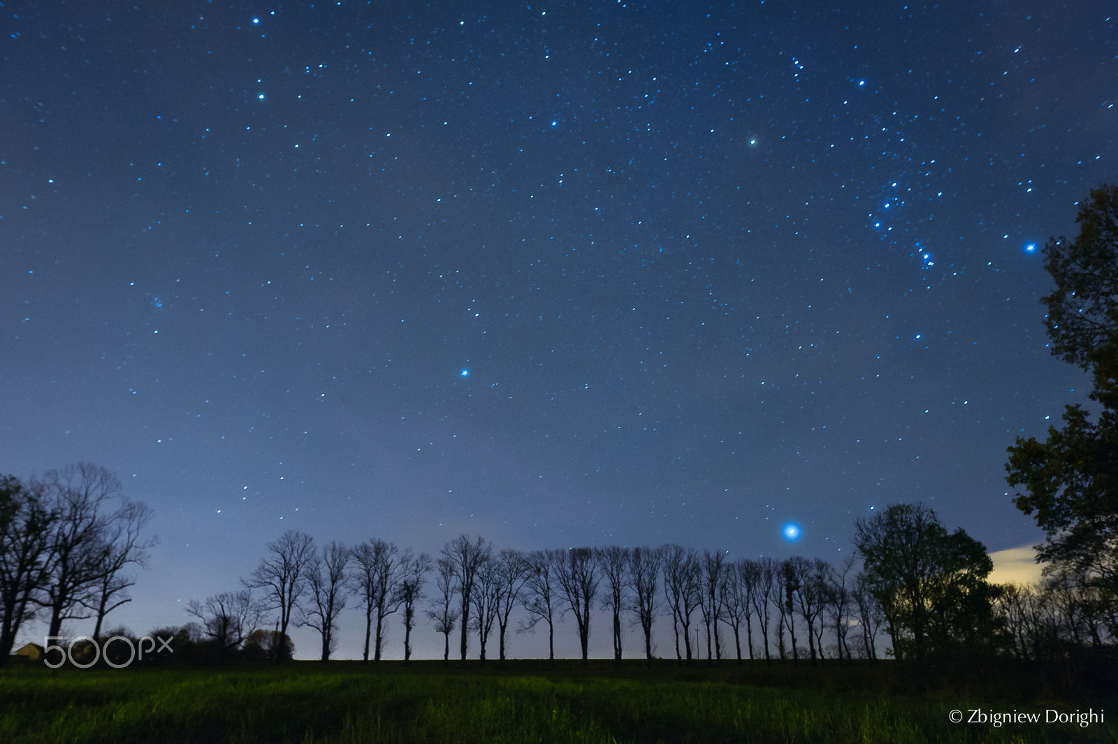 Nikon D700 + Sigma 24mm F1.8 EX DG Aspherical Macro sample photo. Standing on attention under stars photography